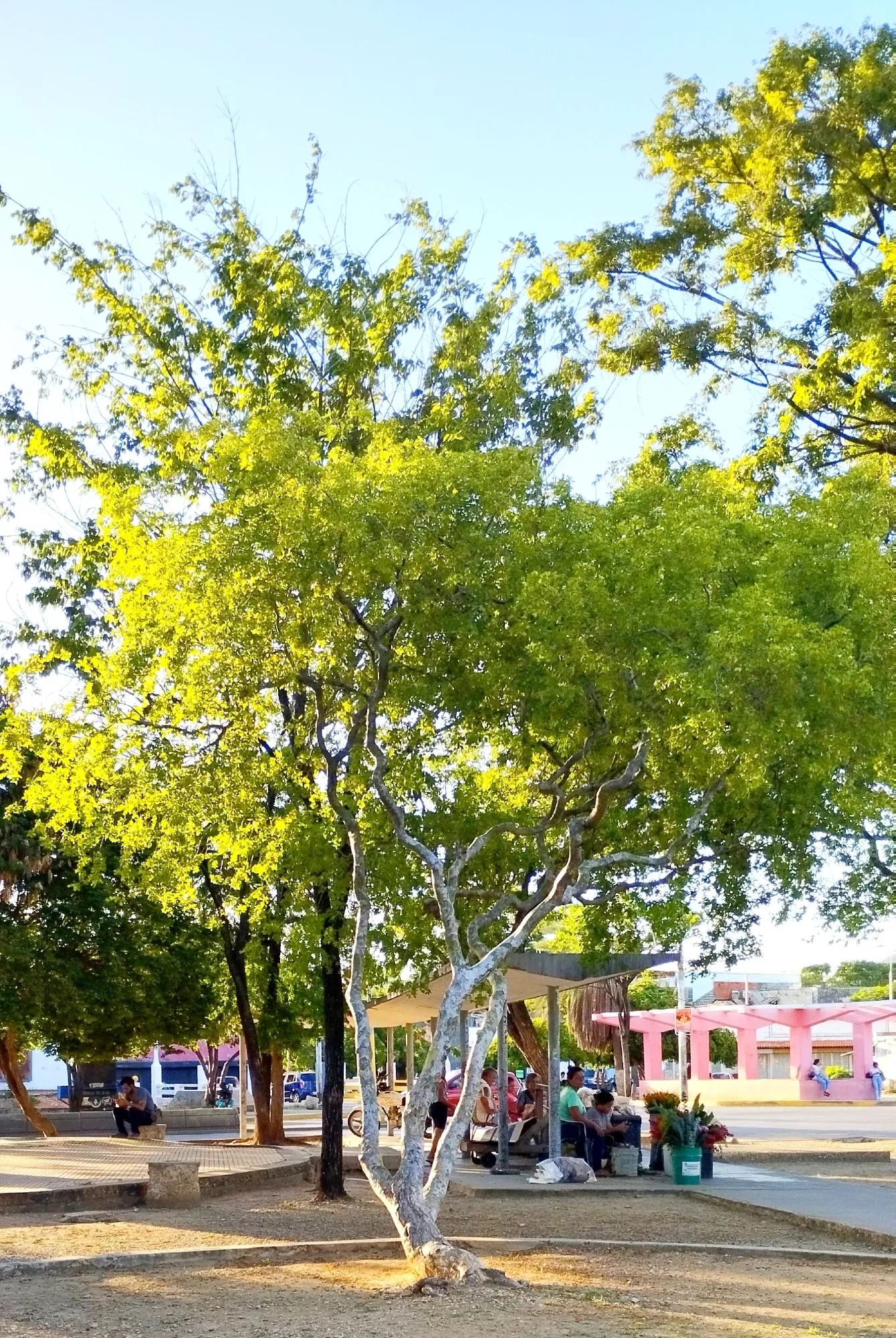 Wf6iHDVsfozkNX5s_IMG_20250906_183022.webp