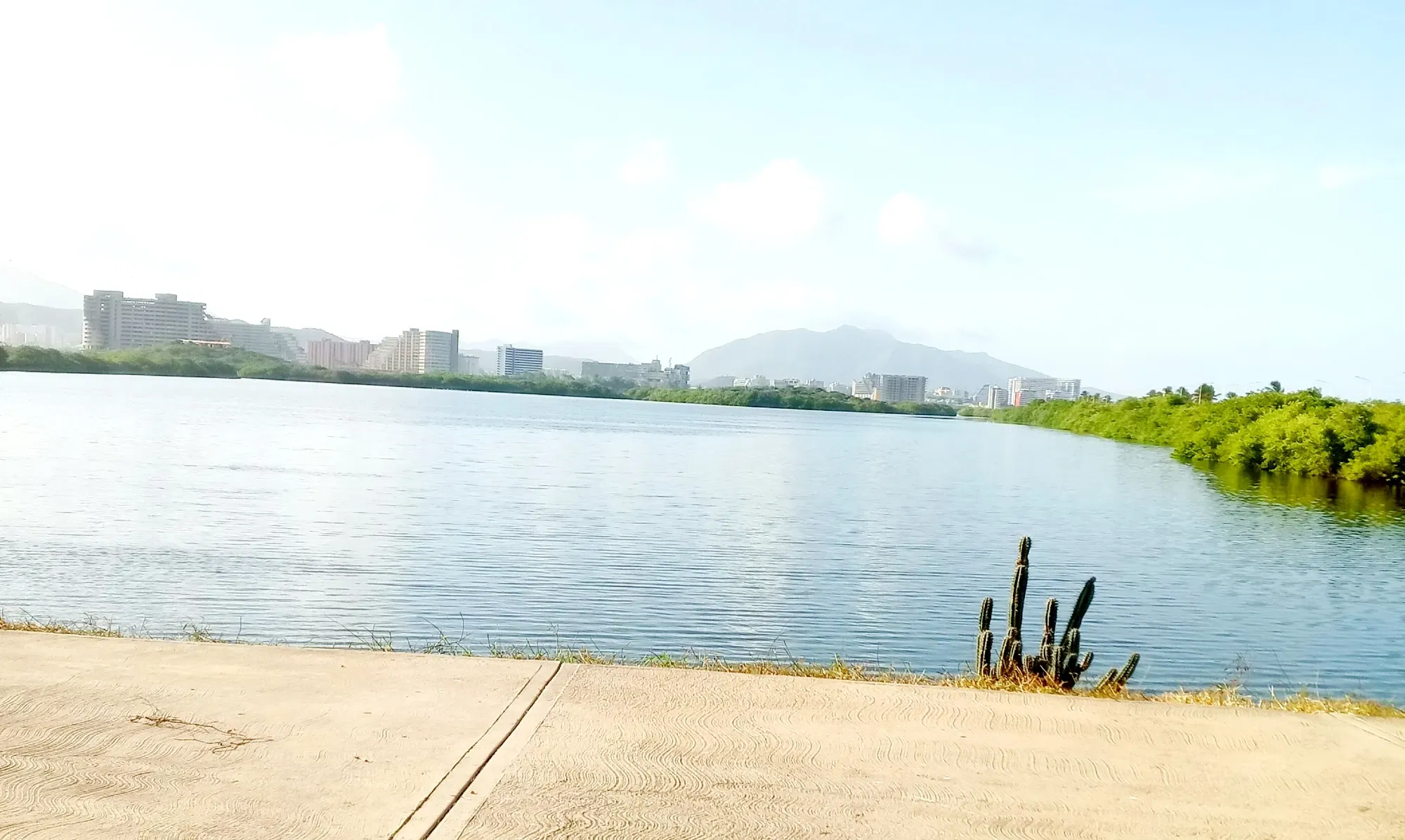 Yu41G90xhbJHDJhM_IMG_20250910_165405.webp
