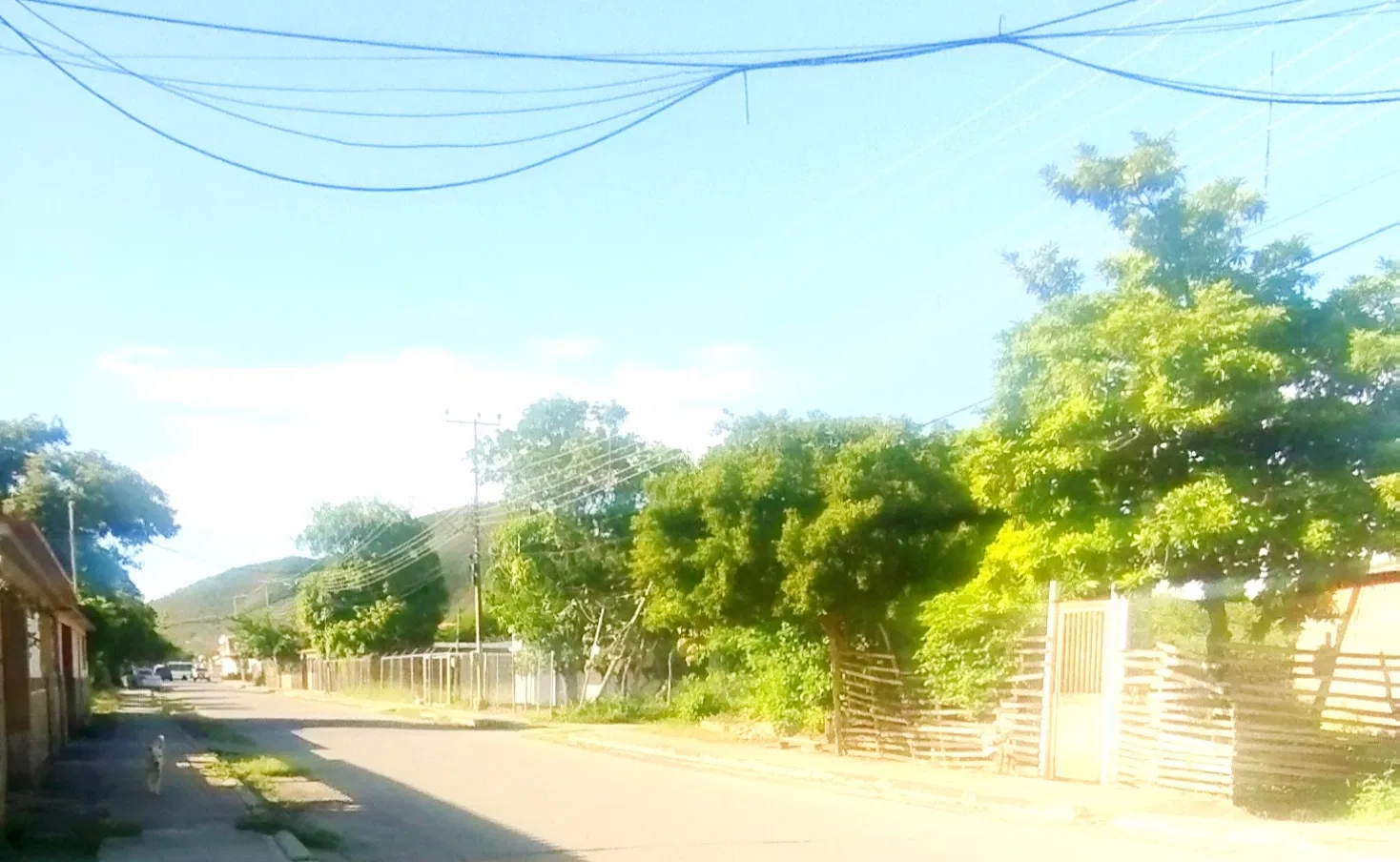 hKGLH6gKIx0d6fUS_IMG_20250716_220648.webp