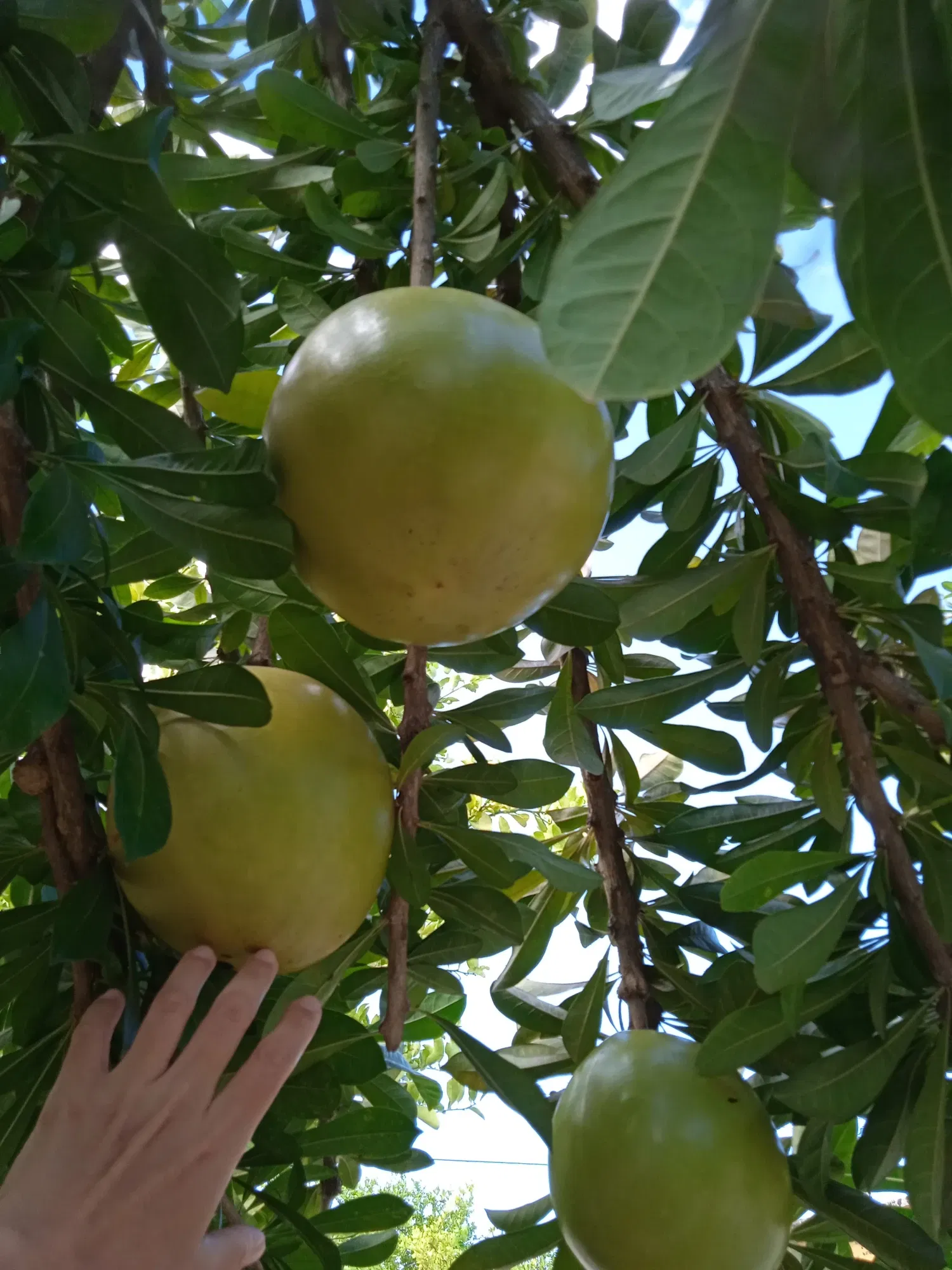 I0e2r5DjRwfsnLl2_IMG_20240116_112540.webp