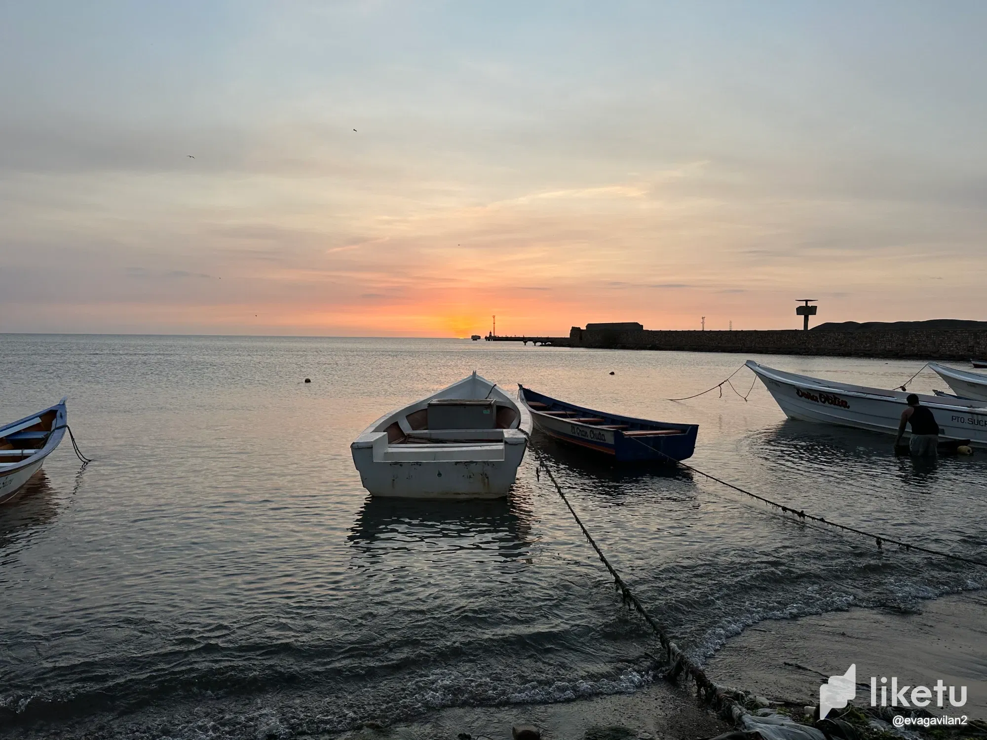 SWLnQfzcltlgdZvH_IMG_6025_2.webp