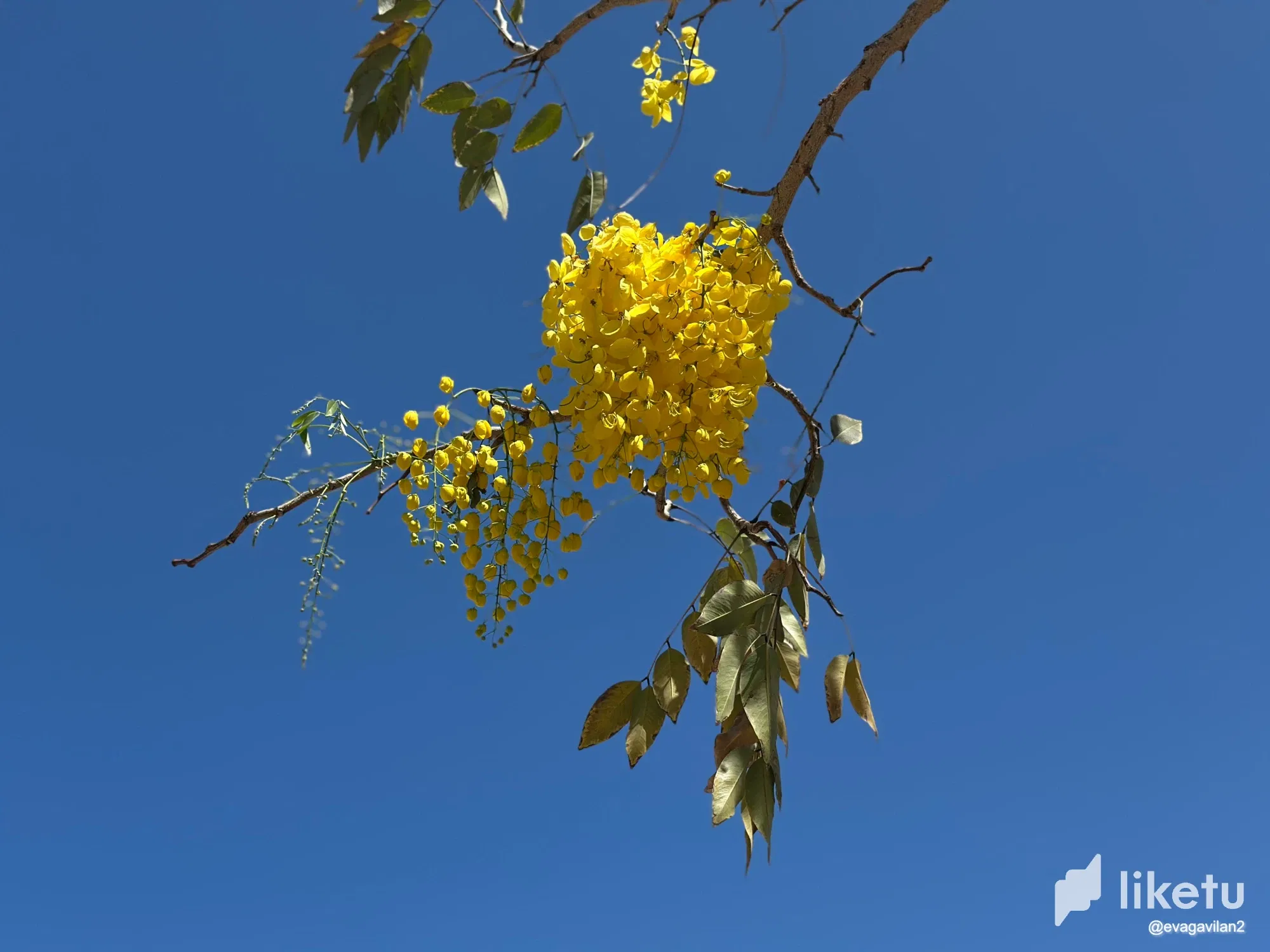 fDMMKGWodDnz8wwq_IMG_5492.webp