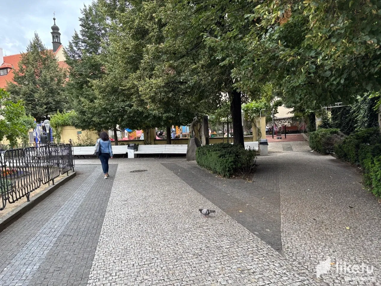 EQmYOf6BgTrClRNW_photo_2025-08-12_22-44-37.webp