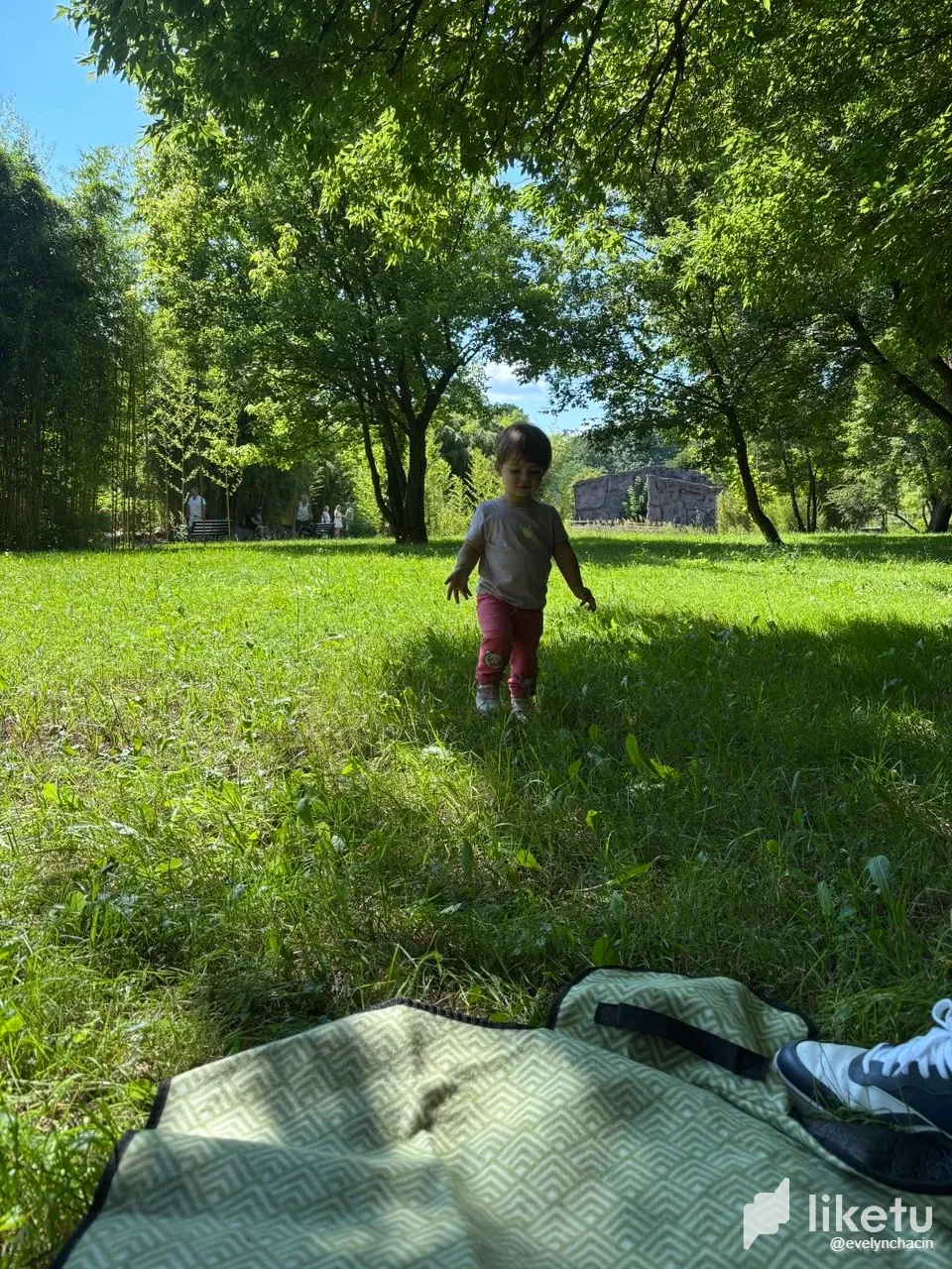VrvMbmNU4qcwEKa5_photo_2025-07-20_22-42-31.webp