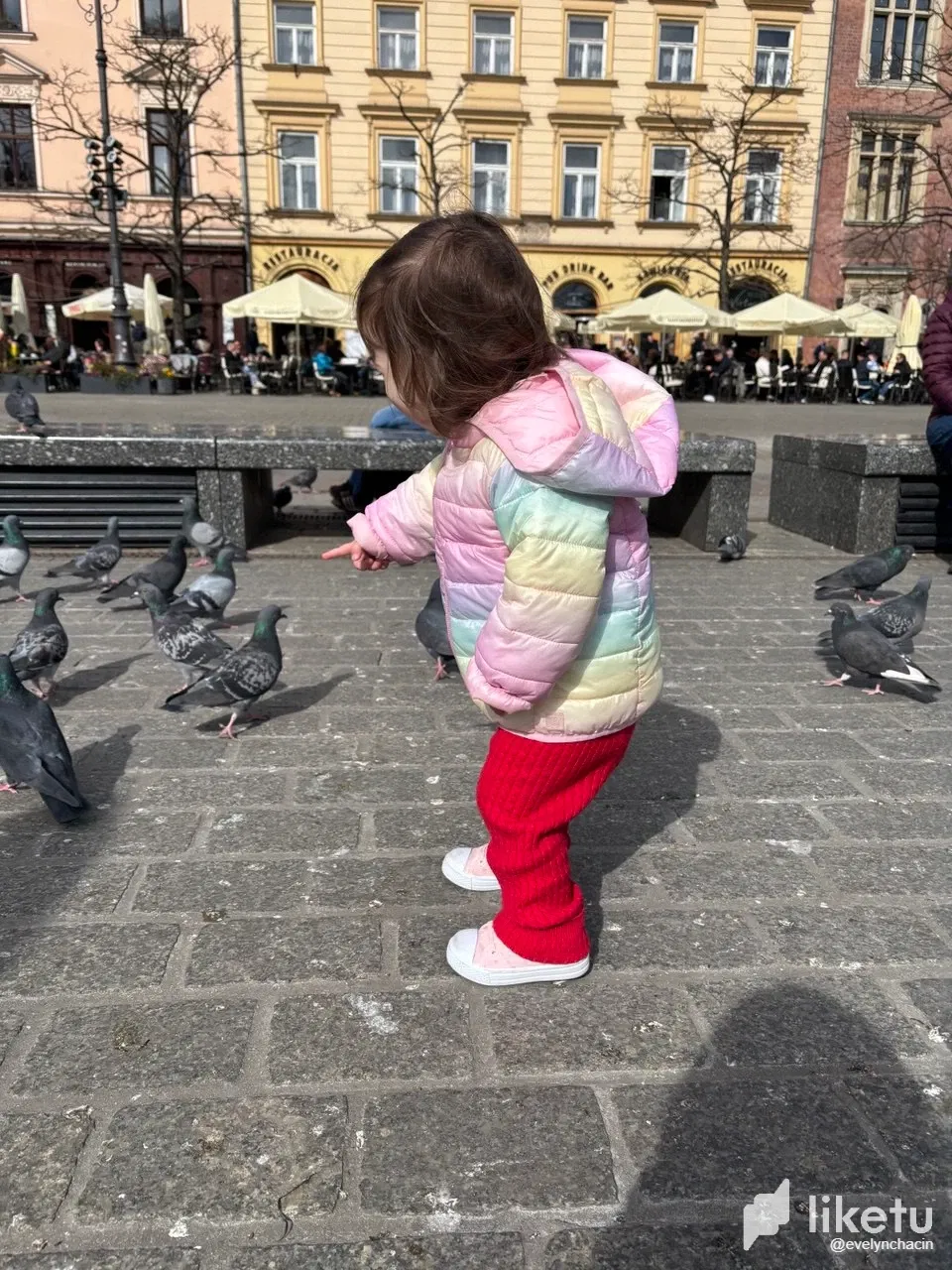 Y0HFb52sUhPYii09_photo_2025-04-12_22-52-17.webp