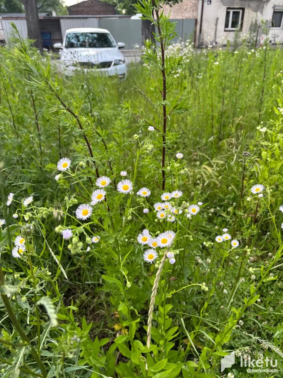 c6syaML2j6XACq6f_photo_2025-06-11_22-23-37.webp