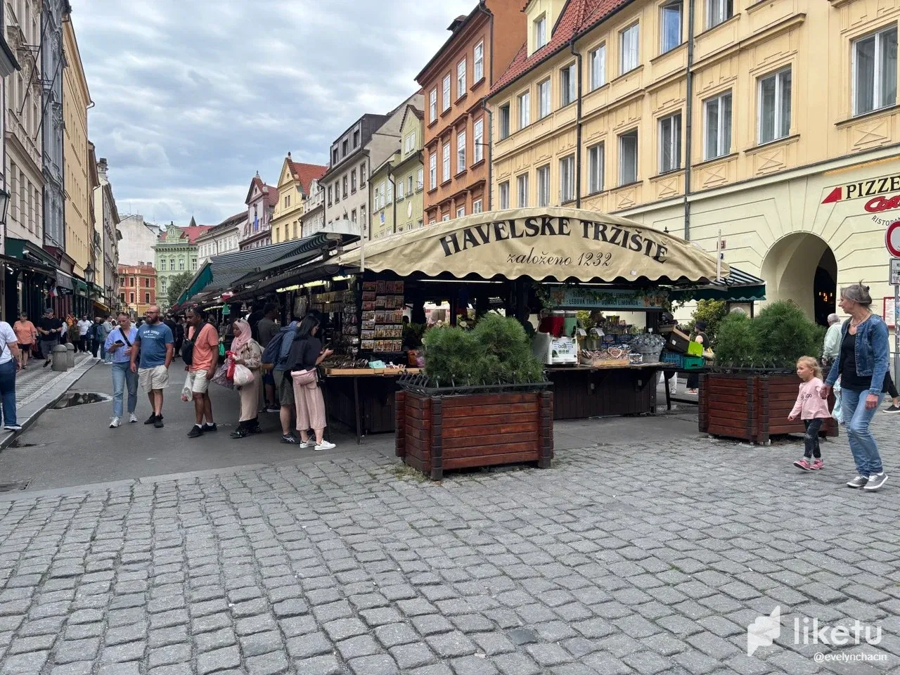 cgtSQmPFYRUSujV3_photo_2025-08-20_22-57-47.webp