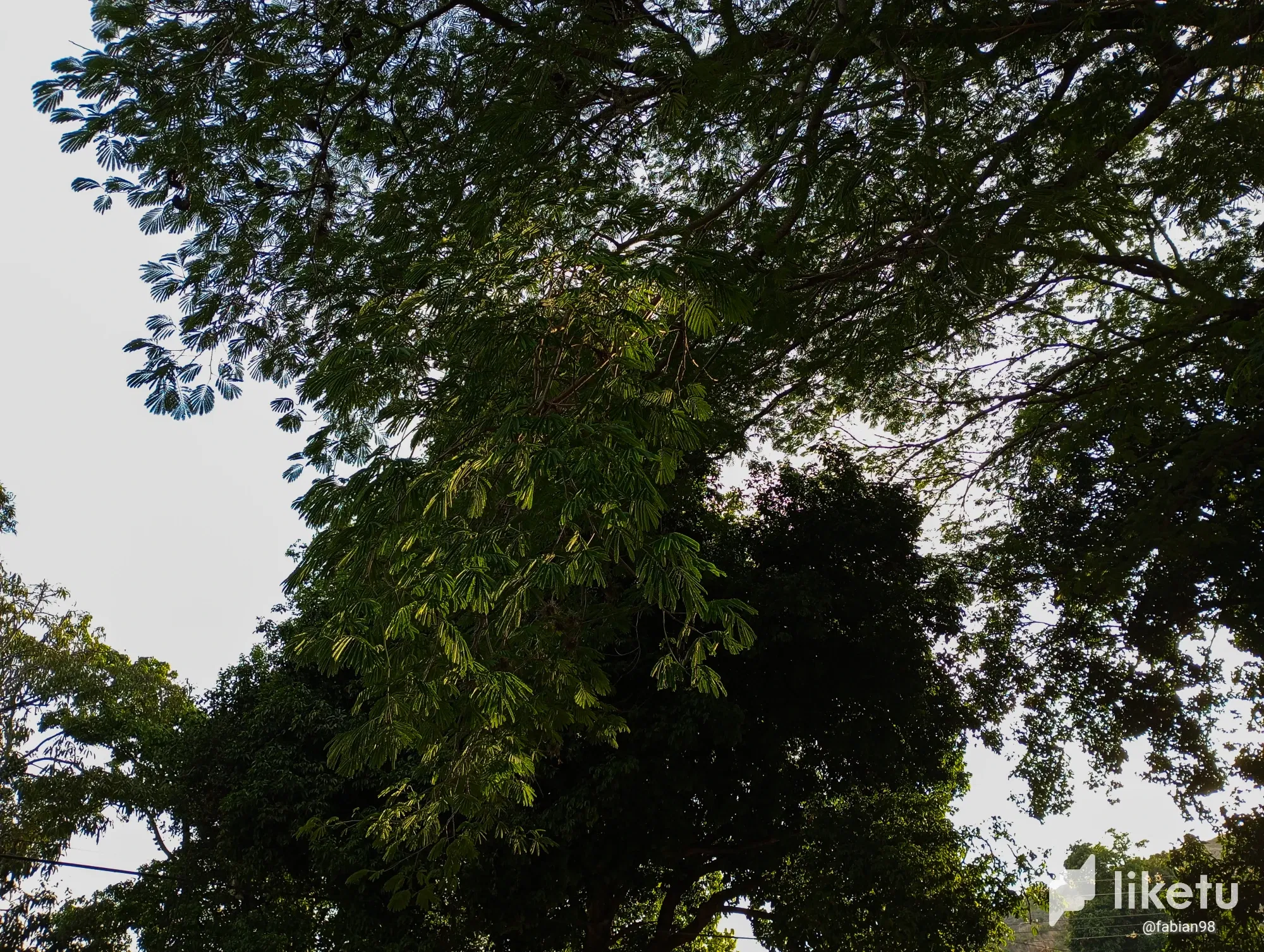 cljk81f5q01a334sz3l8m9uj8_IMG_20230527_173640.webp