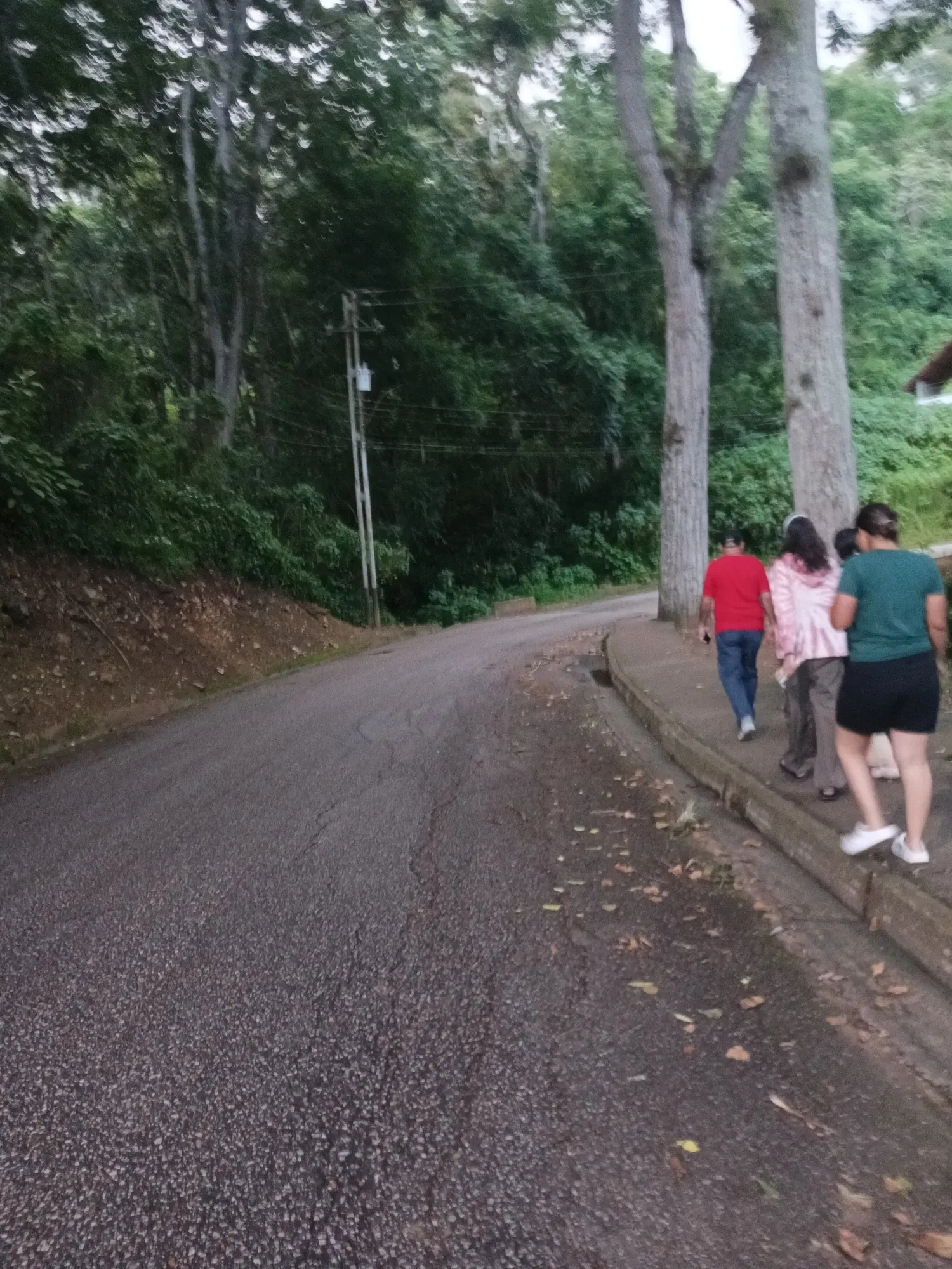 DQpZ6LbkAtKwvo9z_IMG_20250803_182657_318.webp