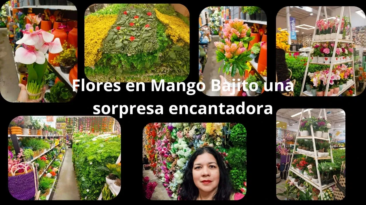 AJmGxOR5Xo03oqXf_IMG-20250909-WA0195.webp