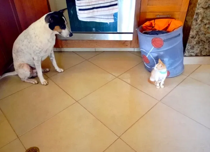 CTbjLhHJjMUKZbIm_IMG_20250918_191148.webp
