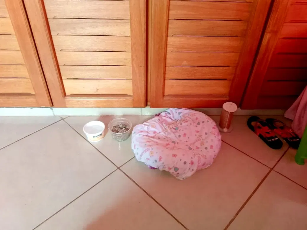 V1hFzgWXGrlQYmHy_IMG_20250918_185917.webp