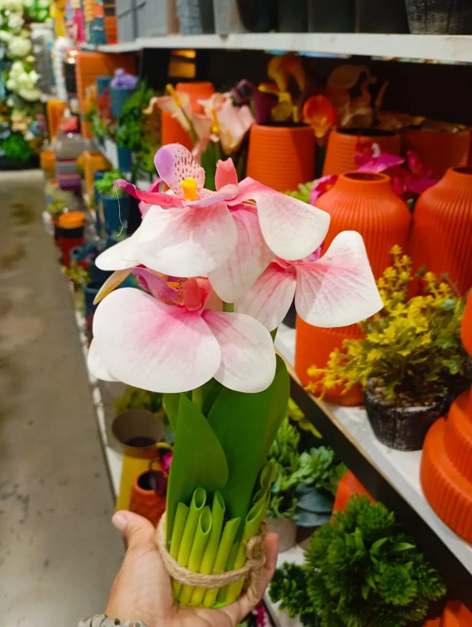 jWMlMwZvwFb5xojU_IMG-20250909-WA0160.webp