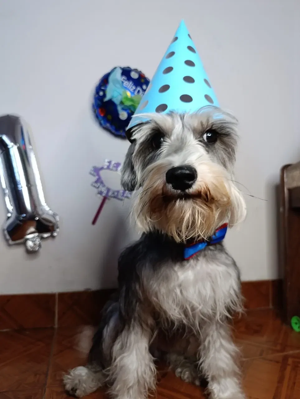 KmNFqevjyW8iwcGM_1001239429.webp