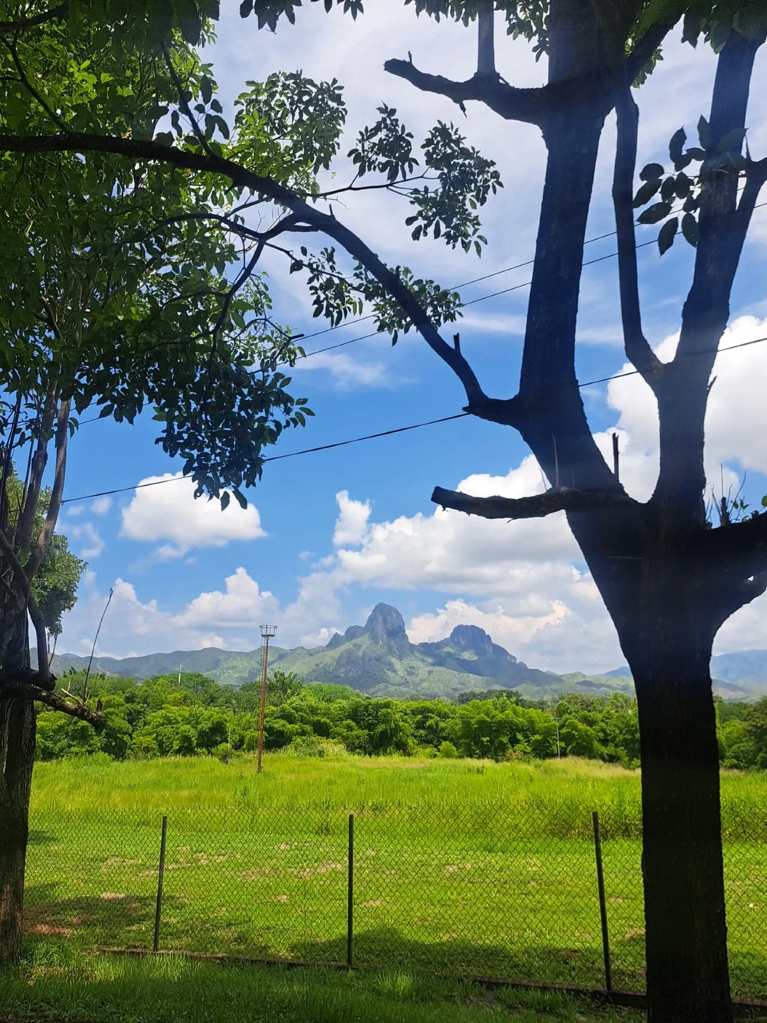 rYzibg9G0sq…
Payout: 0.000 HBDThe green of San Juan | gratitud
2025-10-10 18:49<liketuimages> <center> ![MC016zN1eG3mZG7v_1001360190.webp