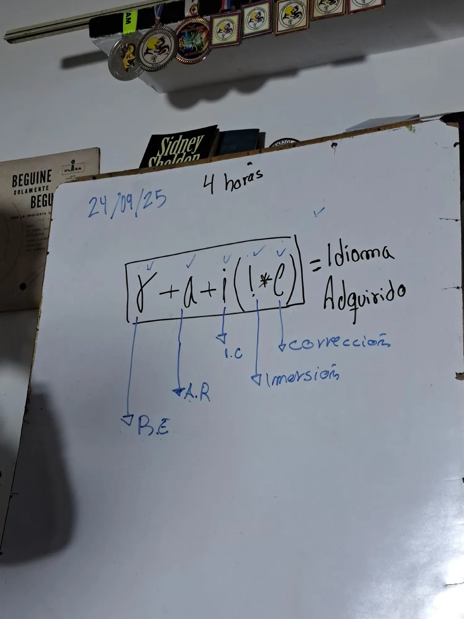 aIY1PfJqUaHNoqb2_1001341535.webp