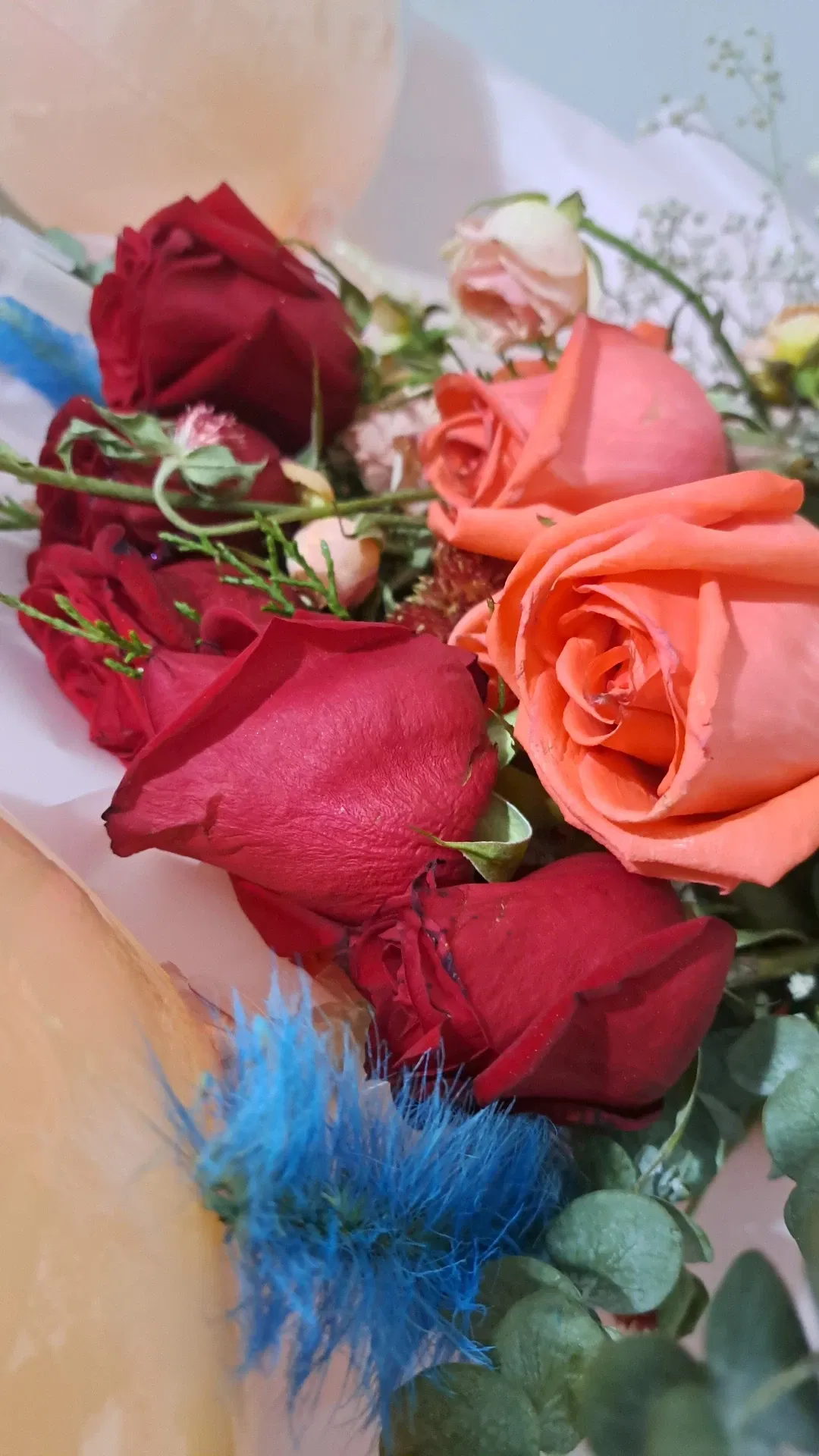 uAHNrDhqkKZE0gYf_1001100061.webp