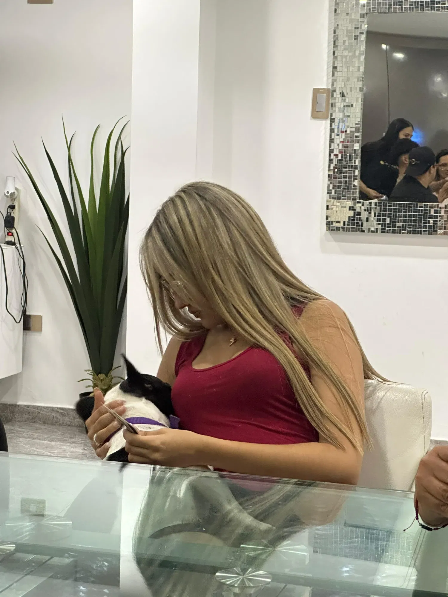 zfvQsTpB53tE6MQJ_1001235579.webp