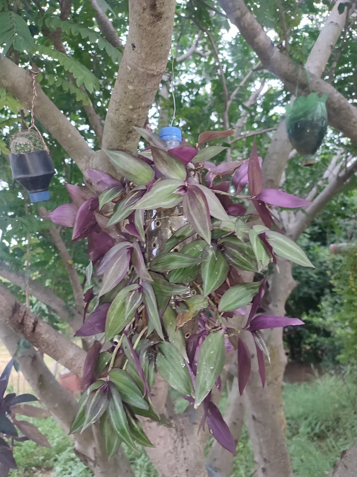 2DvMfaHHkEi74rTh_IMG_20250718_182219.webp