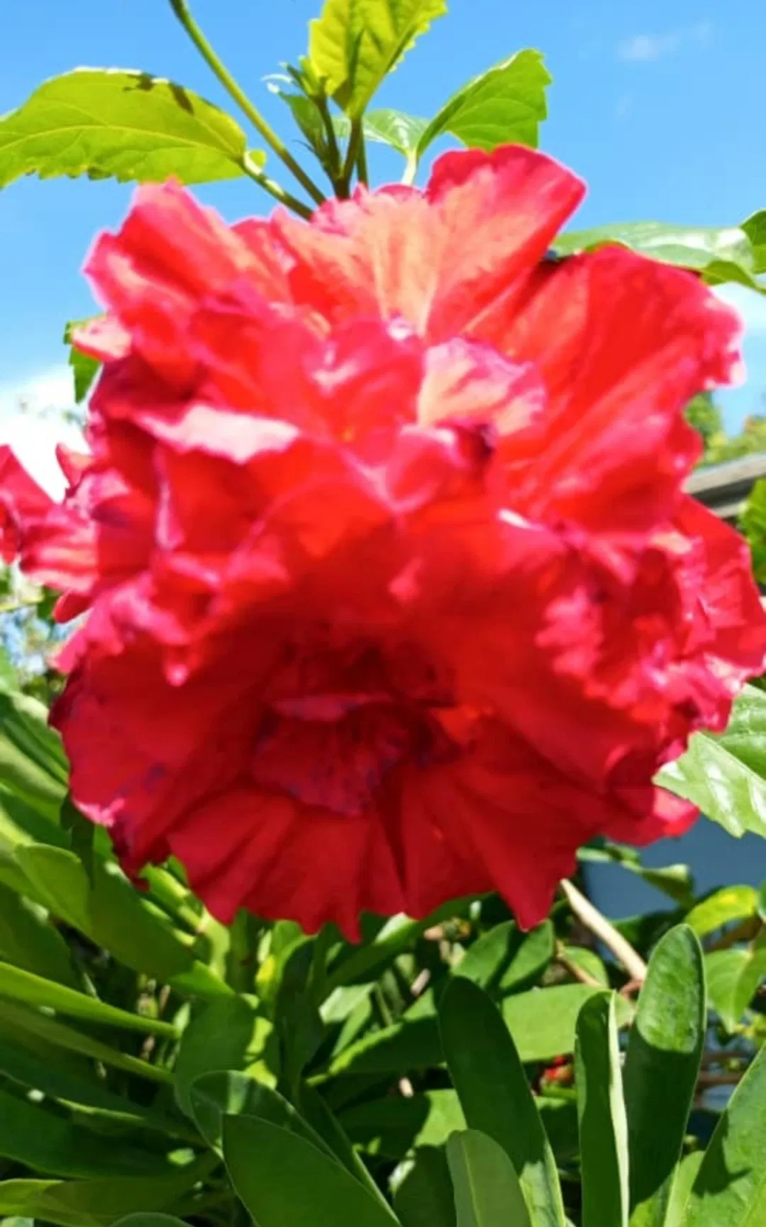 HLf0qmCmVNXMSaOF_IMG_20250817_223449.webp