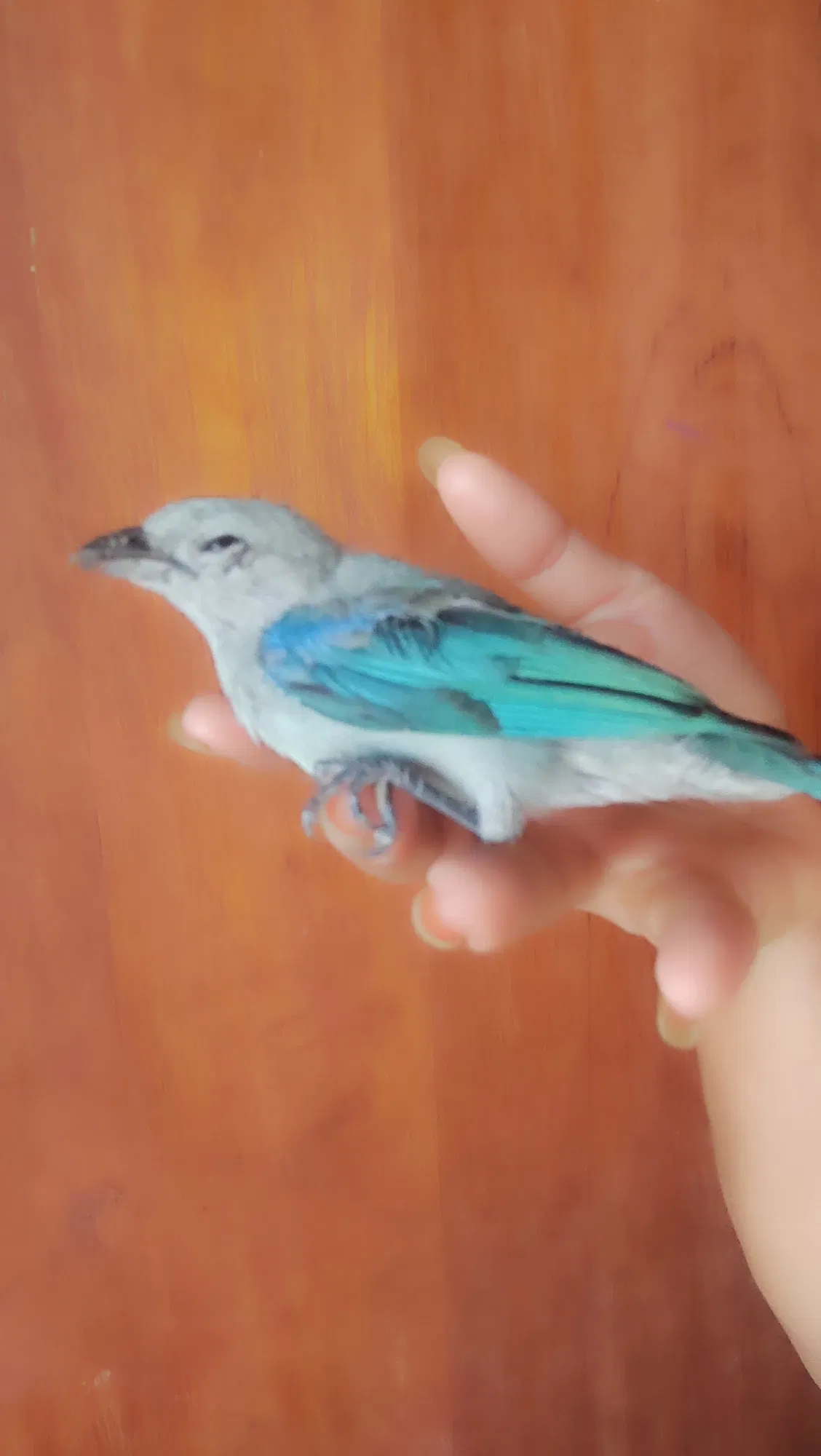 Y32LLPrs5gKQEJES_IMG_20250904_164533.webp