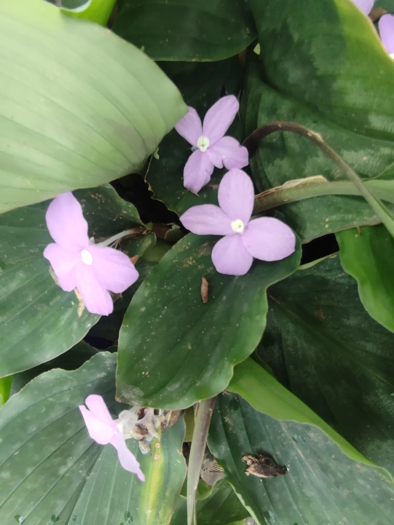 br5WGUCdjijpKfJN_IMG_20250906_115427.webp