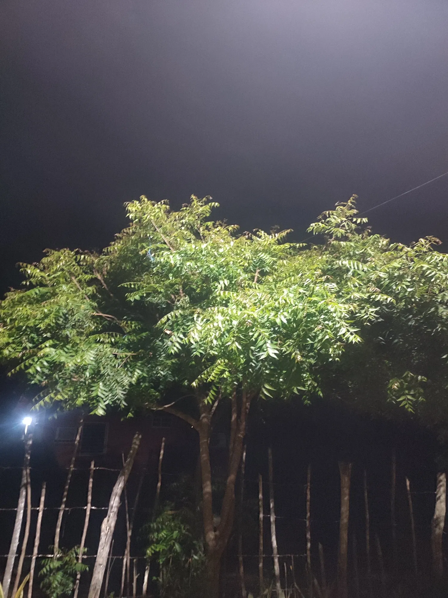 iNPadZI424XXrTua_IMG_20250709_224525.webp