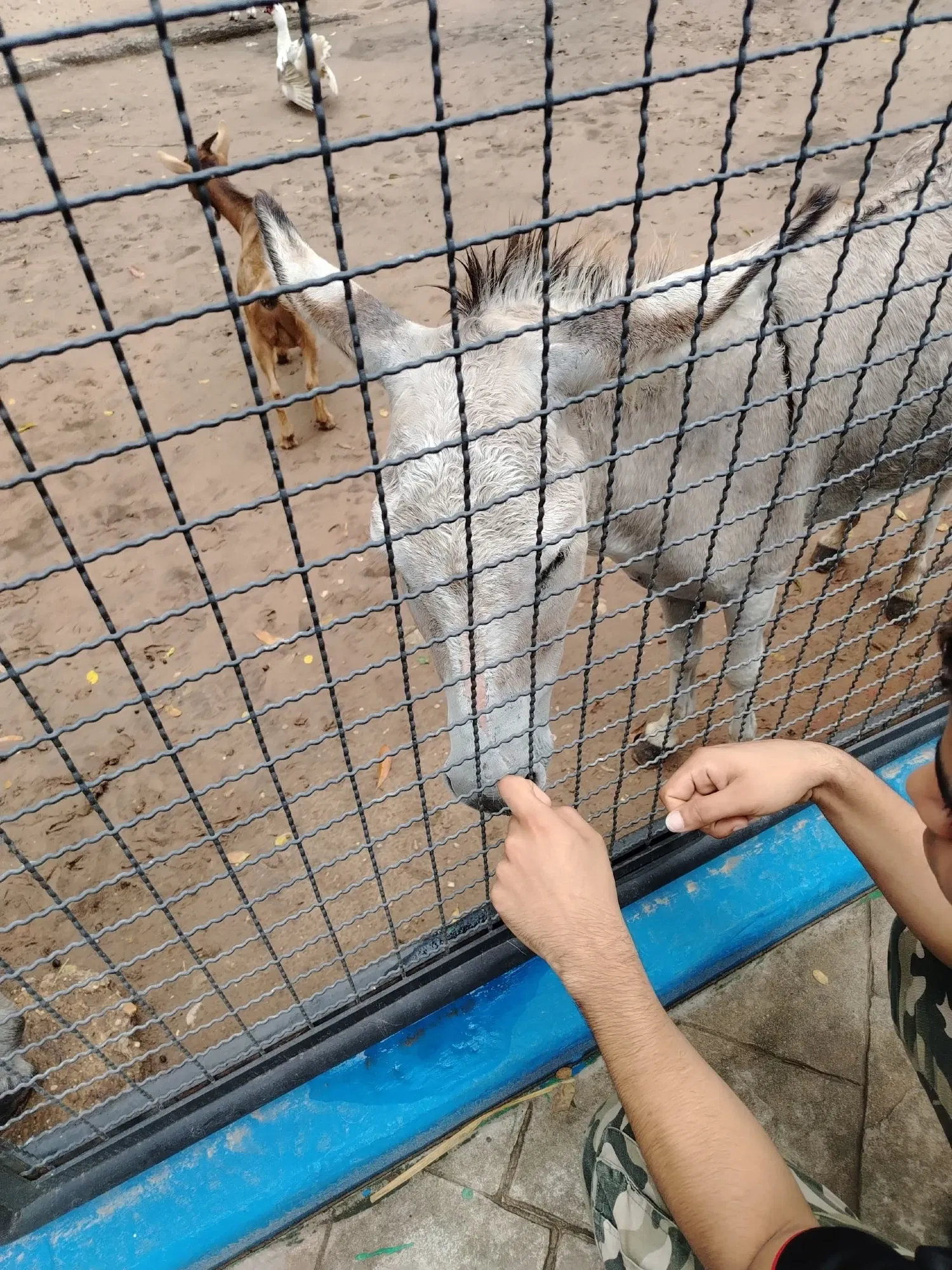 2lICFiSBDjhZOOtG_IMG-20250908-WA0028.webp