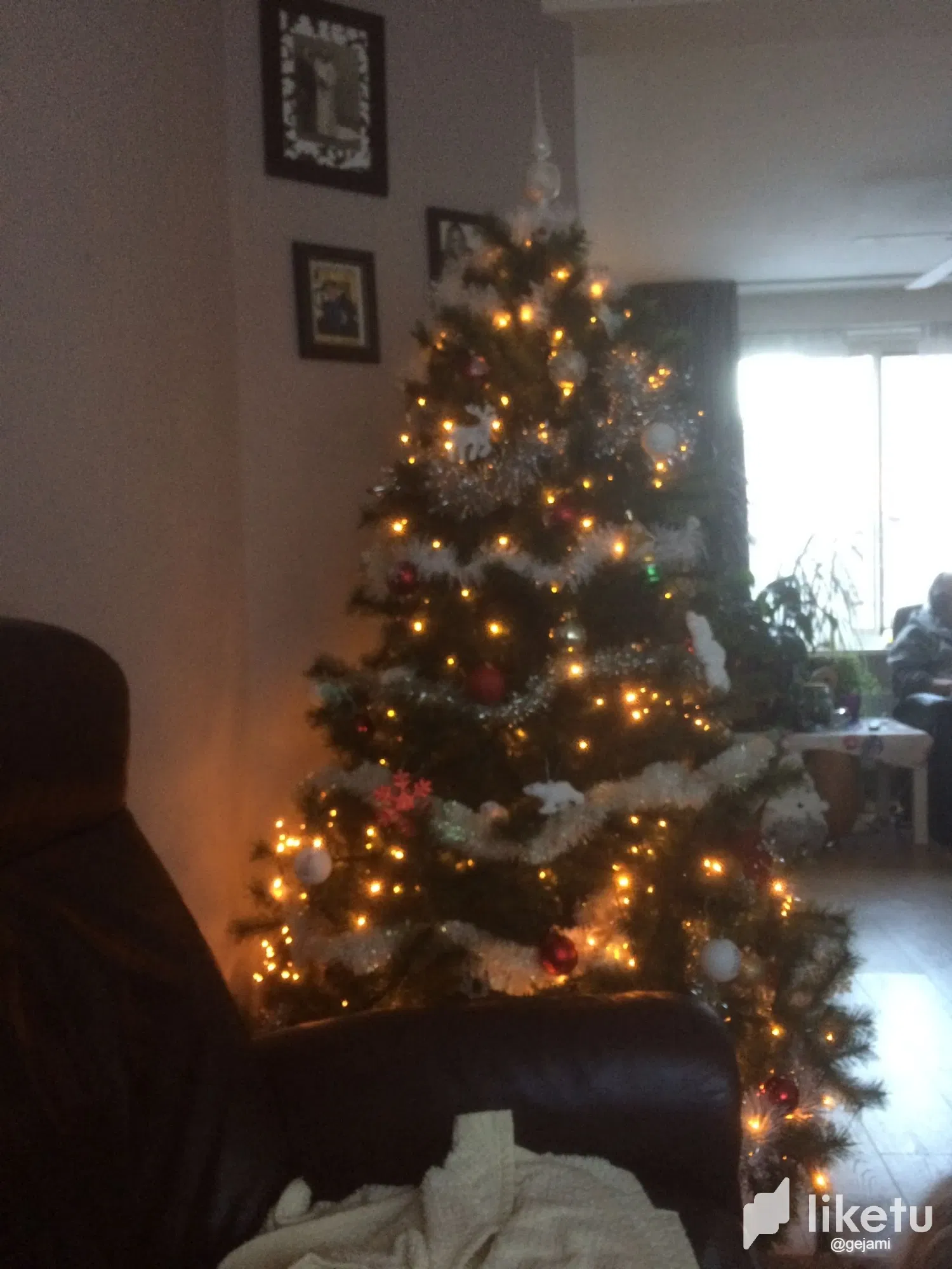 clatps60a055x0xmjf5ak5bby_grote_kerstboom.webp
