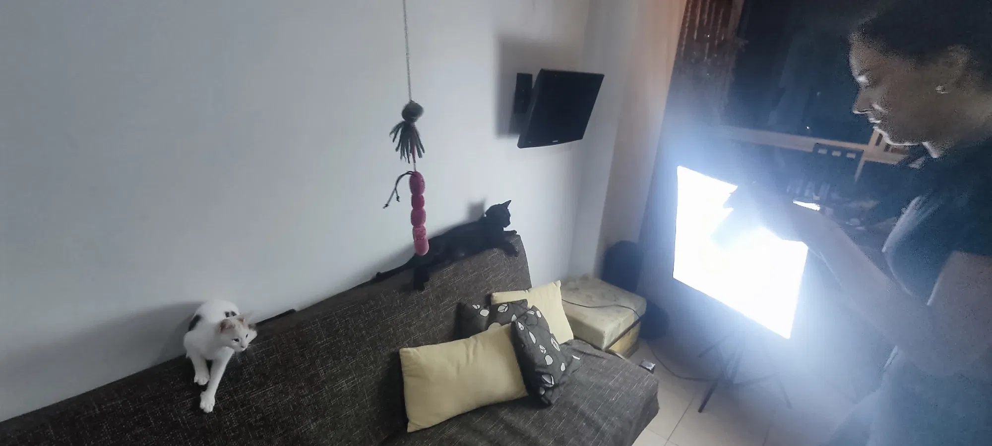 ZntEsdoZyZuC8oGo_IMG_20250922_203843.webp