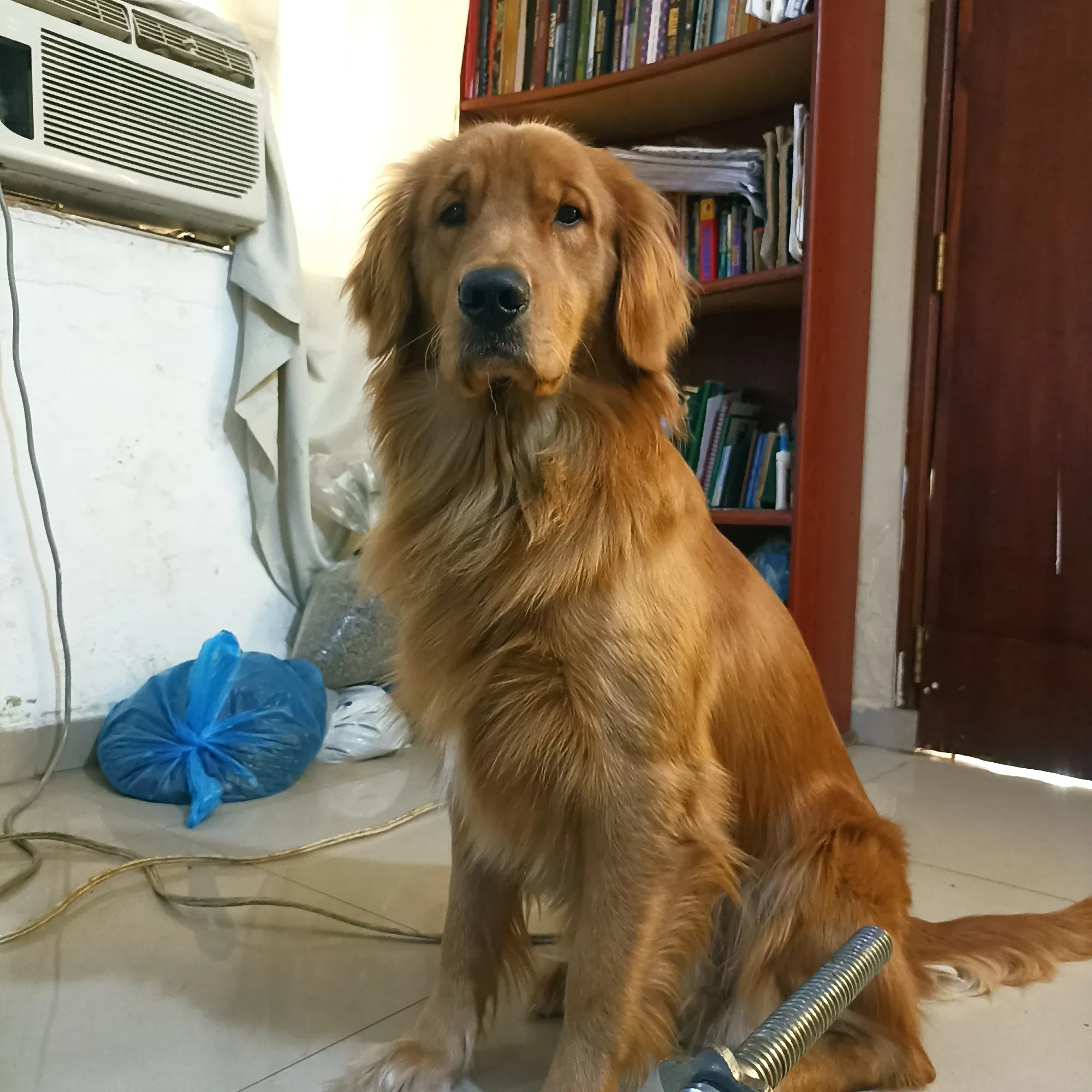 fG4bkLQyOEtrlNTC_IMG_20250115_173710.webp