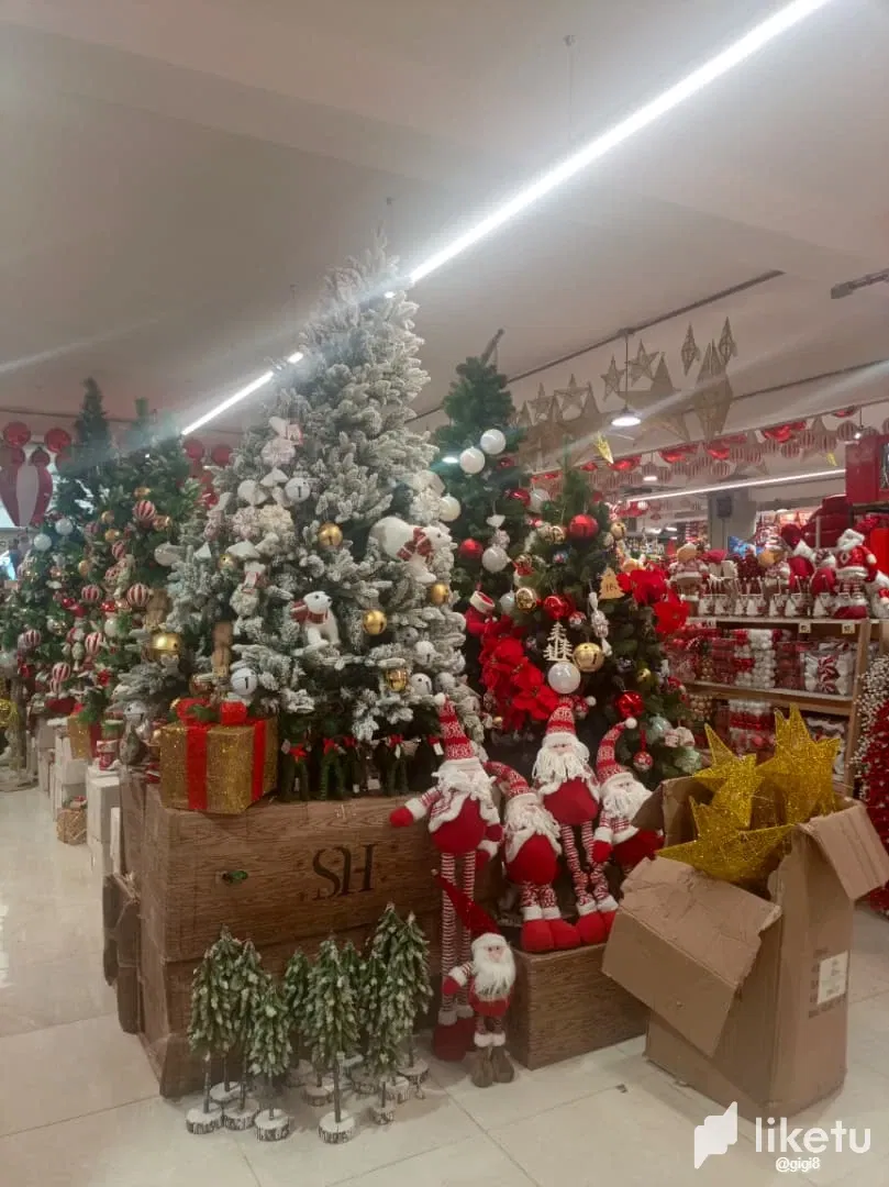 8LCgm3ZPjwB4h4HW_IMG-20250910-WA0067.webp