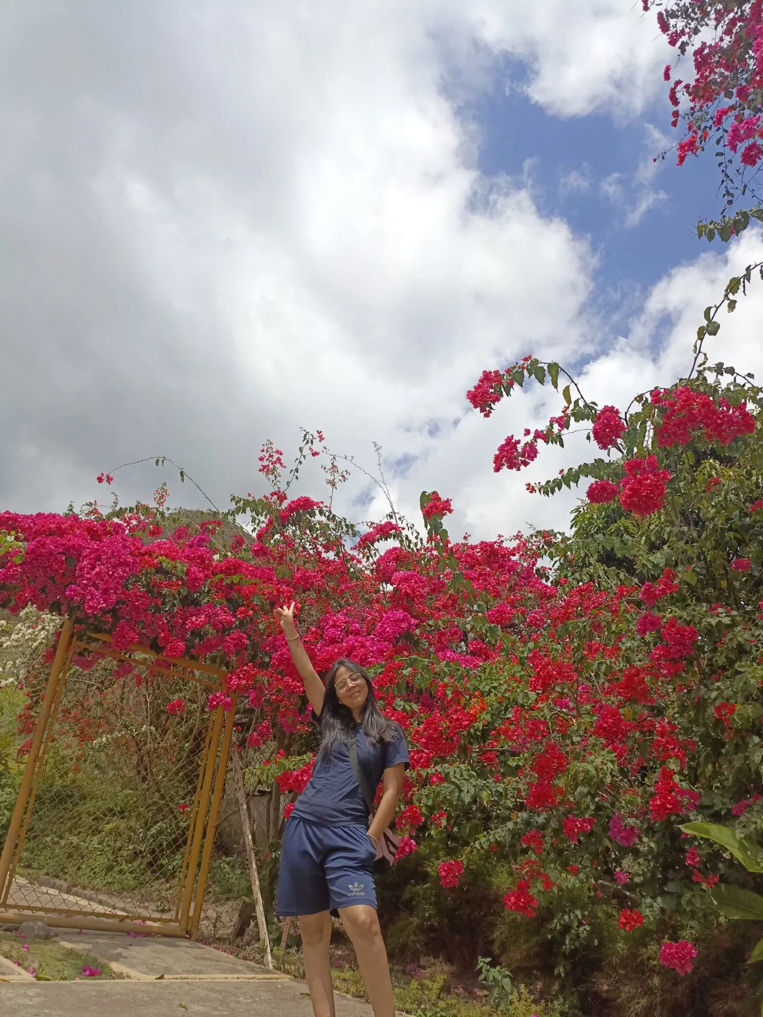 V6RphLBfZFTVLha8_1000378077.webp