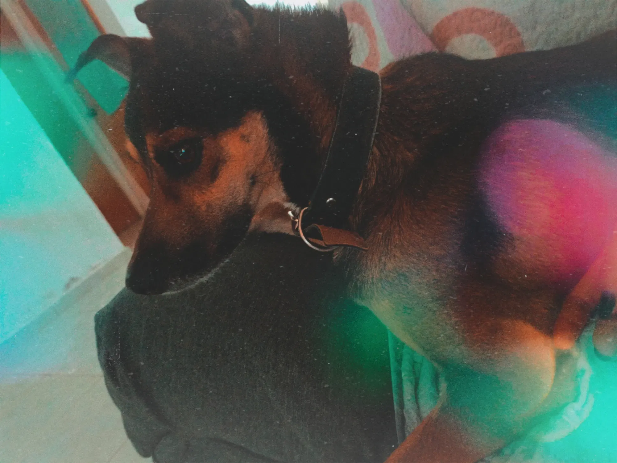 QgdH7GS2FpKyvT11_1000412461.webp