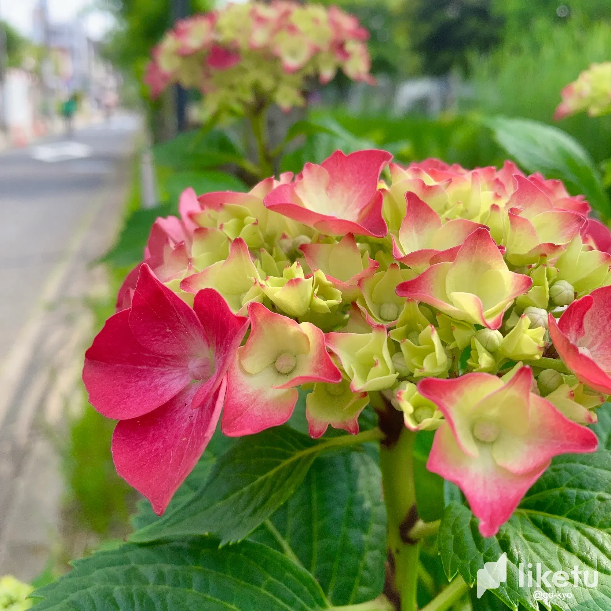 clhyhje08014h22sz20261n3k_IMG-6493.webp