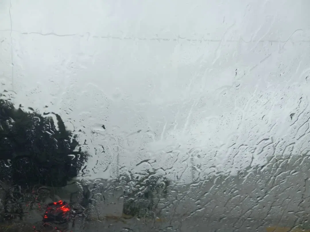 6L6Pj244nrGI9fio_12.webp