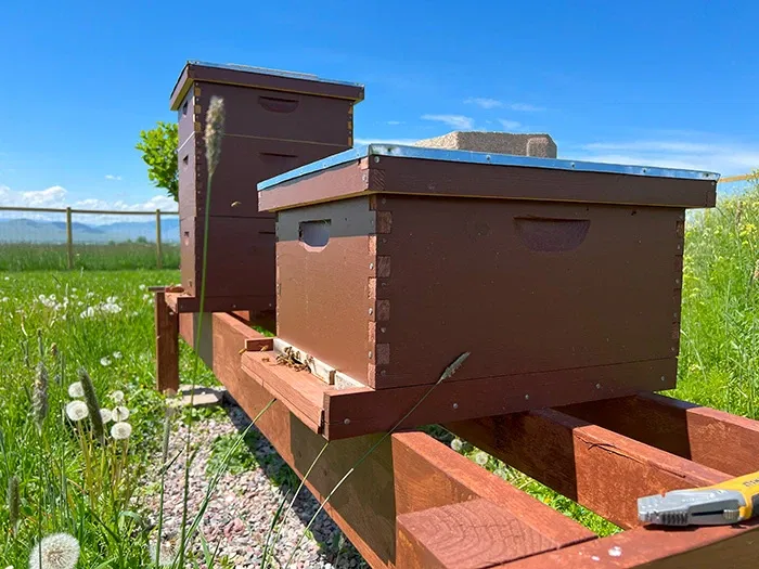 cligh57j300cn7mszdnq73w5t_bee5.webp