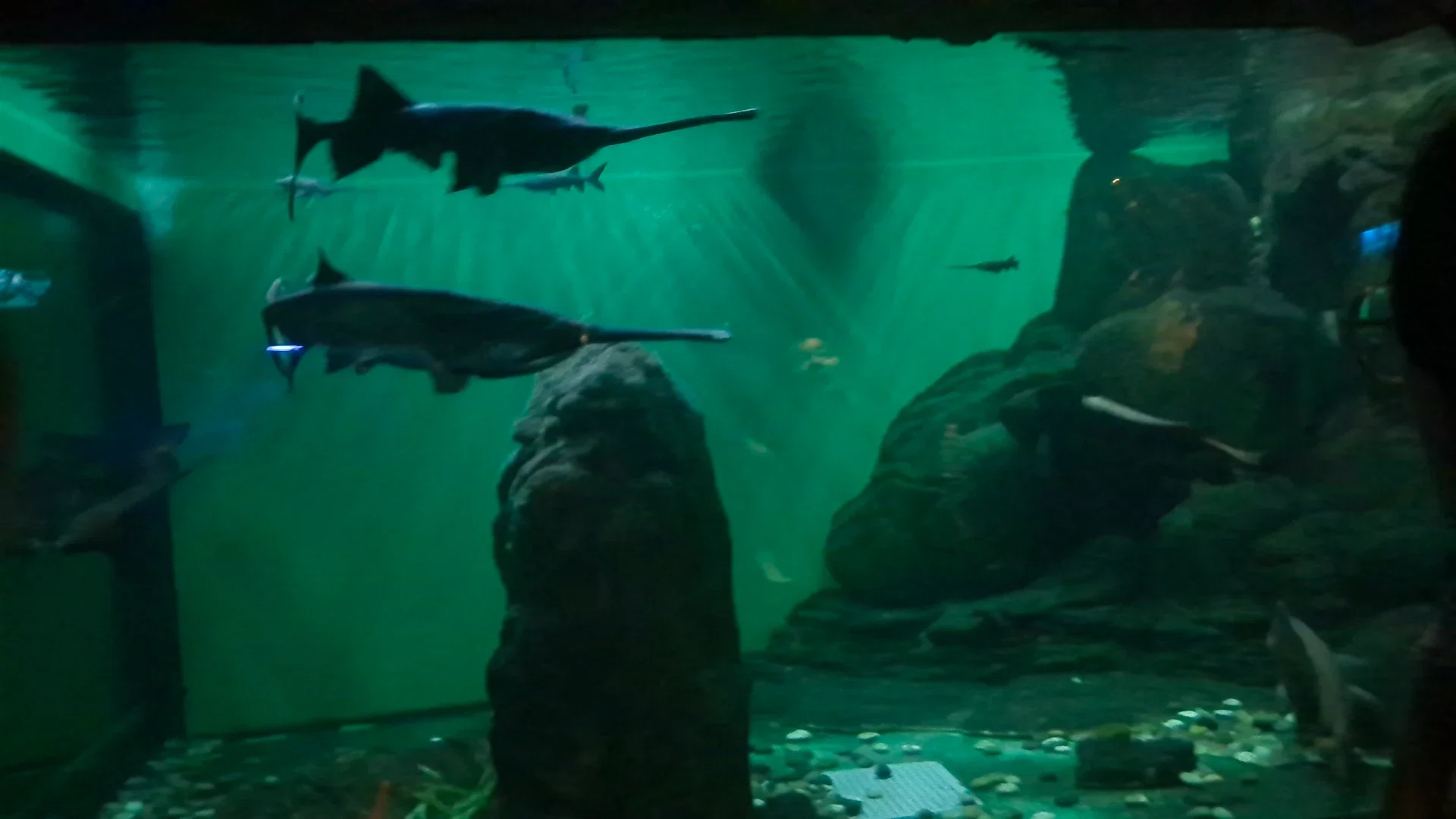 30Od8Aq2u38wsezV_IMG_20230825_103718.webp