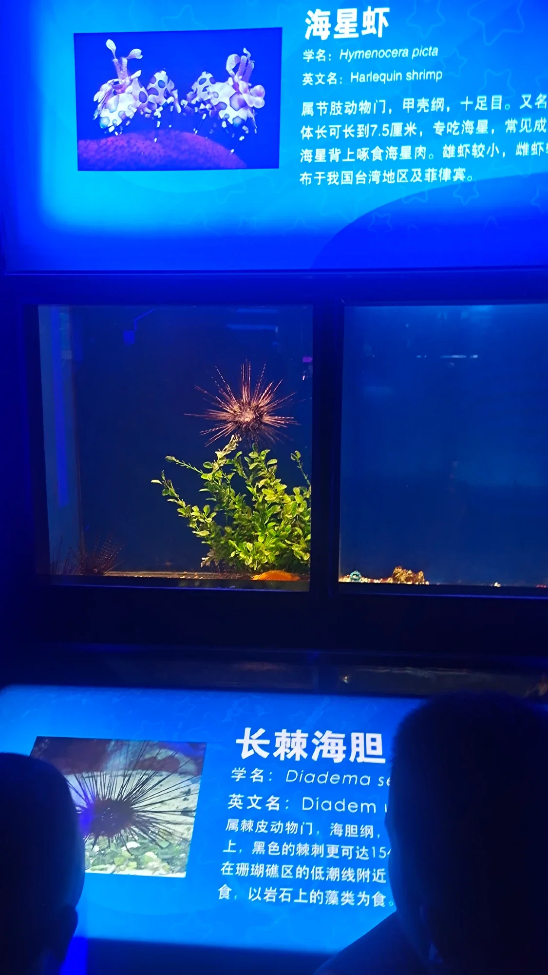 MdZhySXYsHgrKBGy_IMG_20230825_102704.webp