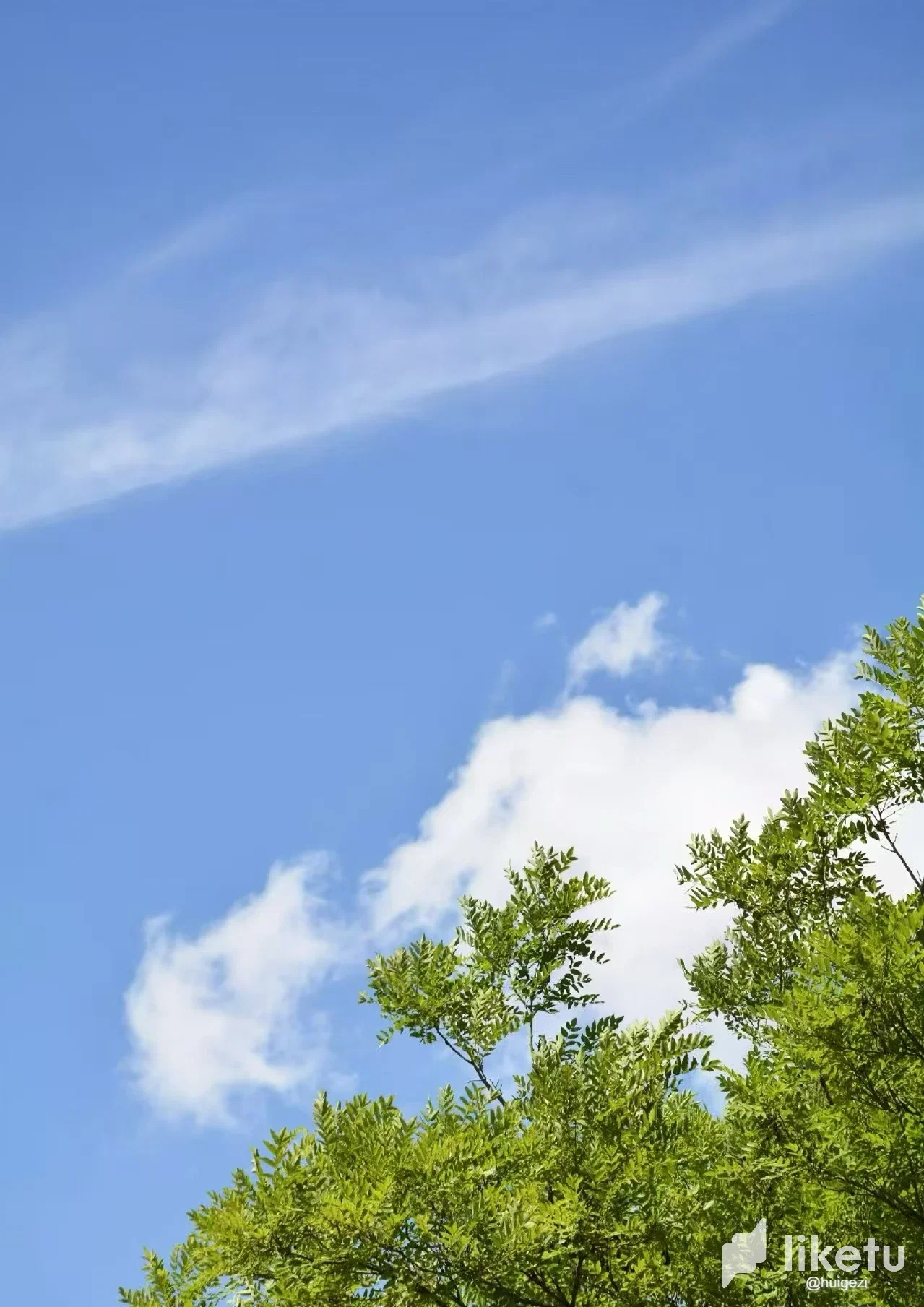 bFBZkrrqZu6TOZNH_3.webp