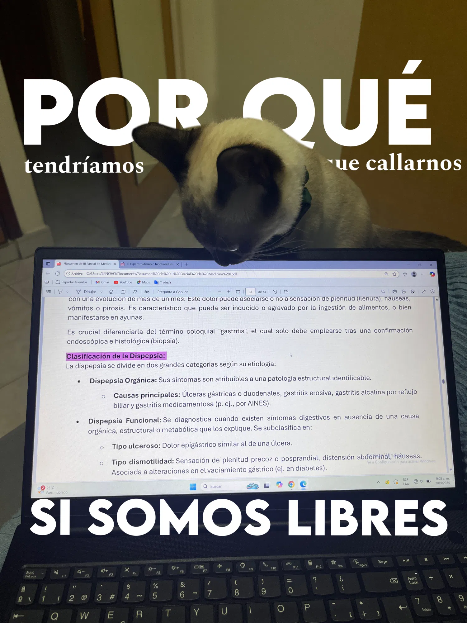 1mwS7UrRlGUgeKFM_86EEB126-DDD8-43B5-AD39-F01A30966DE8.png