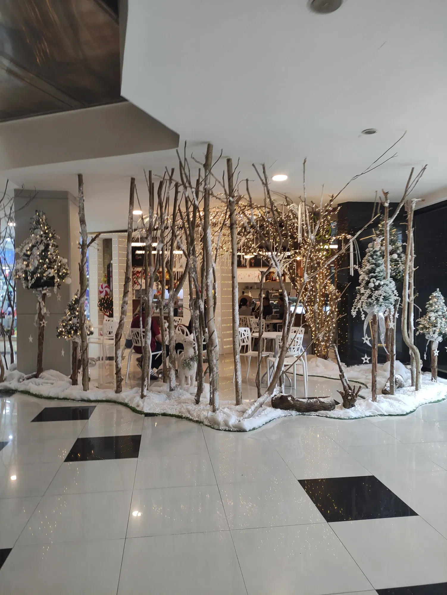JyLbyF9UqWYwuDtk_IMG_20241118_173416.webp