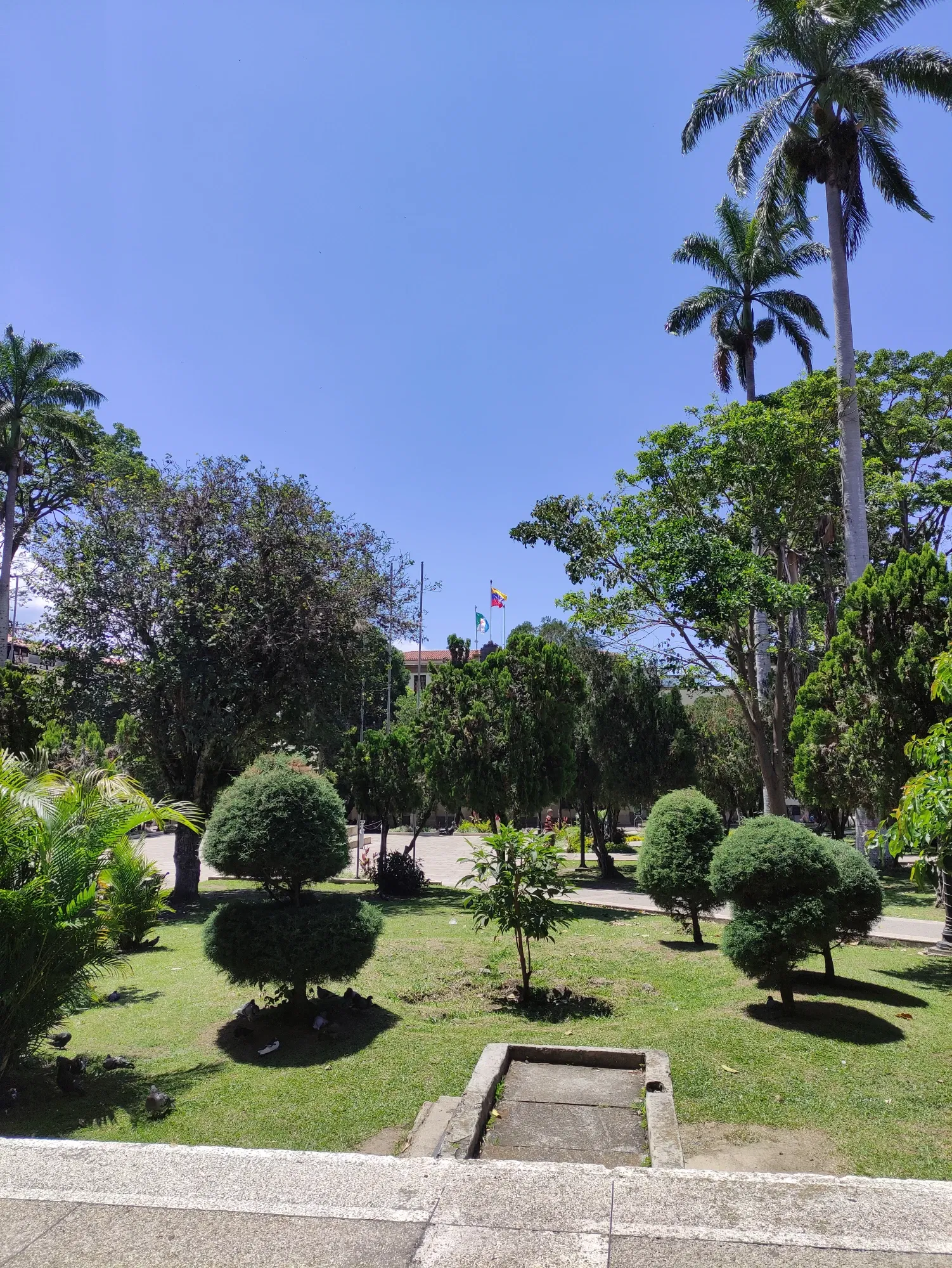 vBEPIW75FJ3EERXM_IMG_20241020_122229.webp