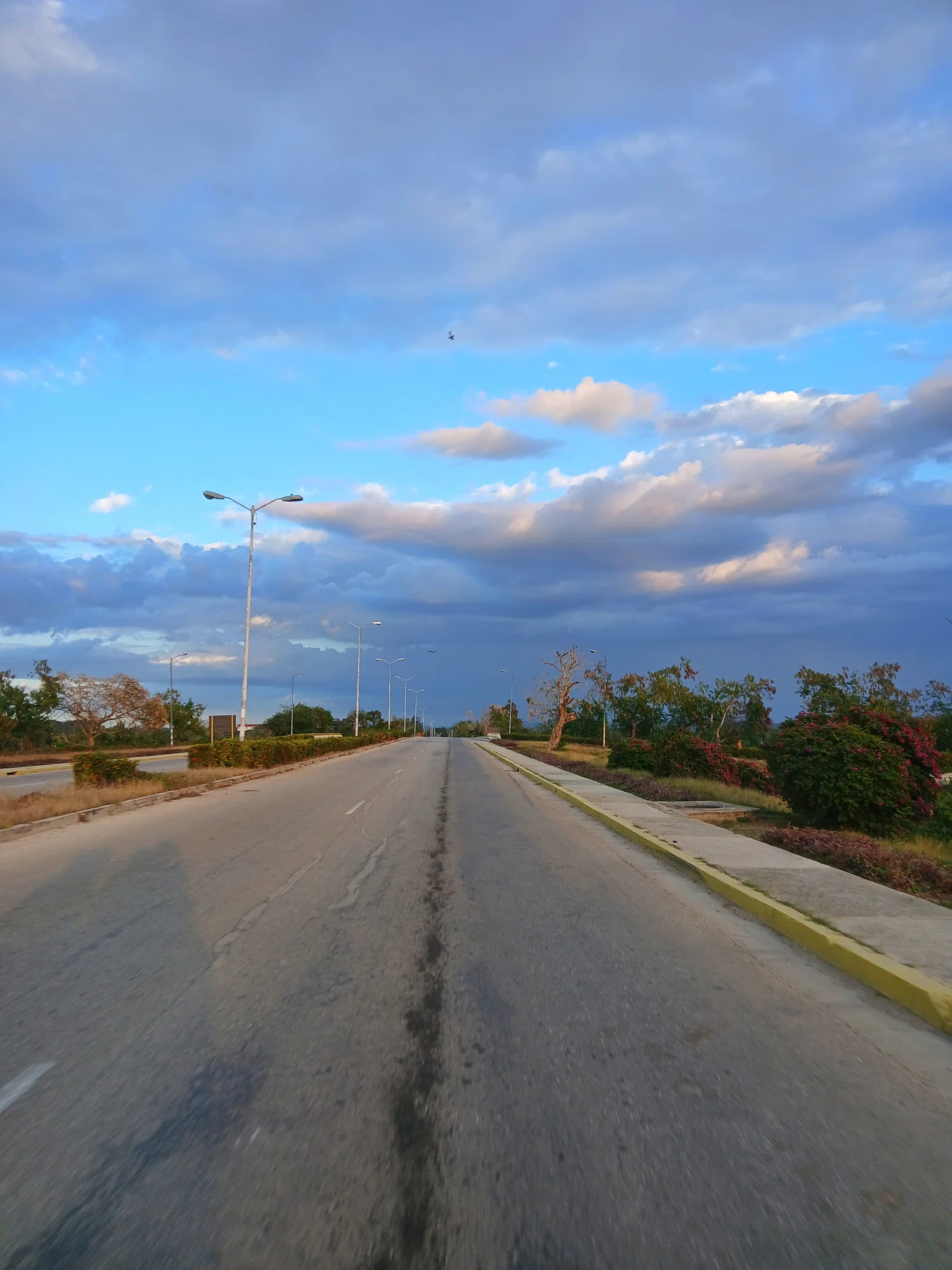 El cielo que necesitaba ver [ESP-ENG]