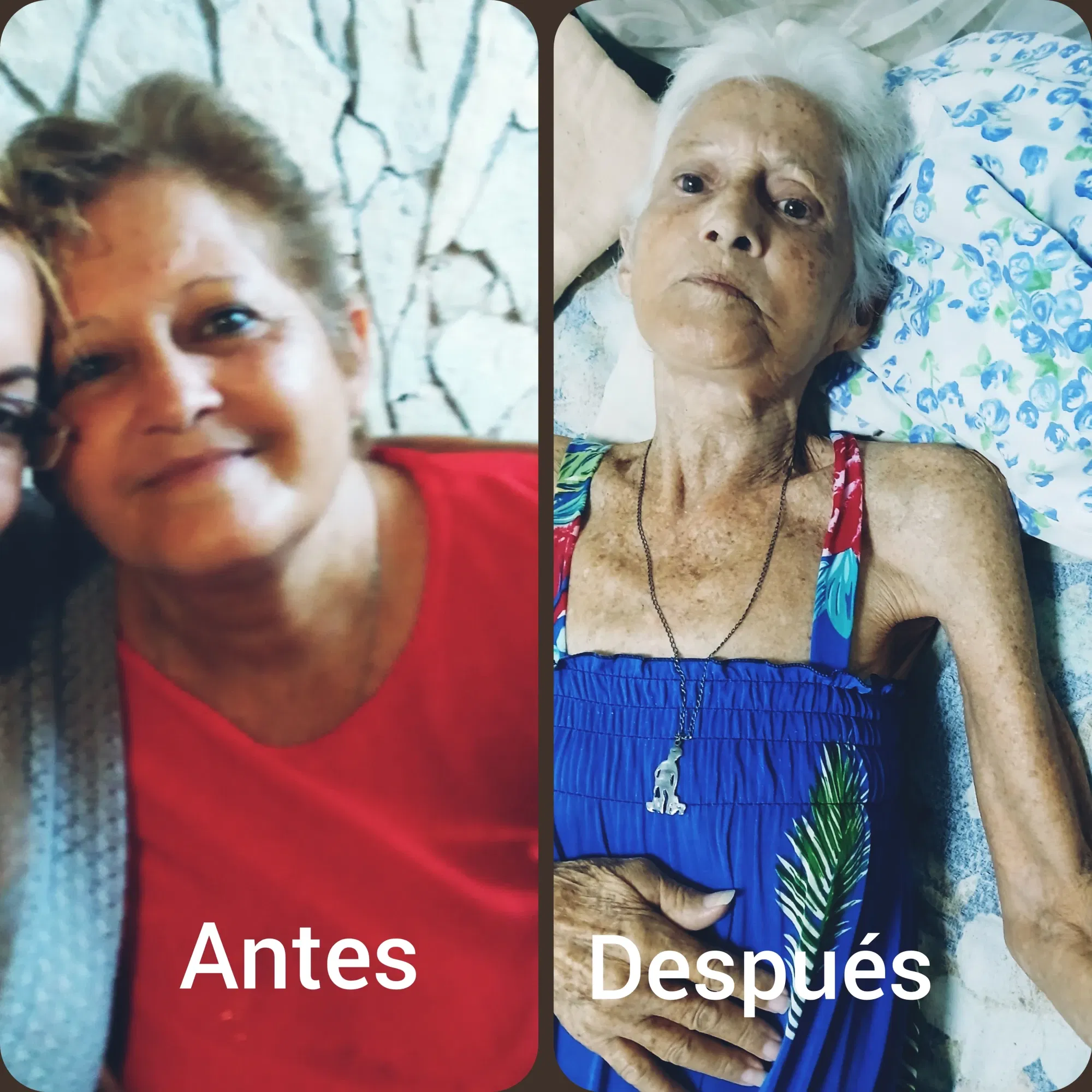 4au1JwNieVfrStmc_1000067776.webp