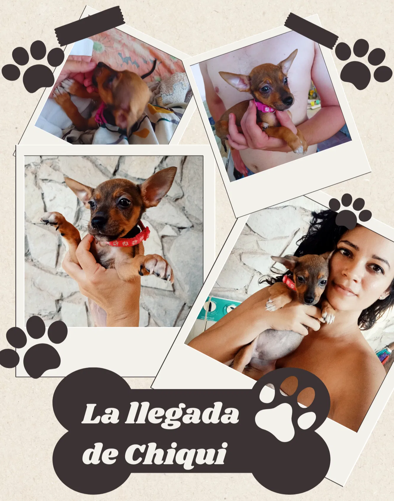 HQYSrEptEphOt2J9_IMG_20250515_192452.png/