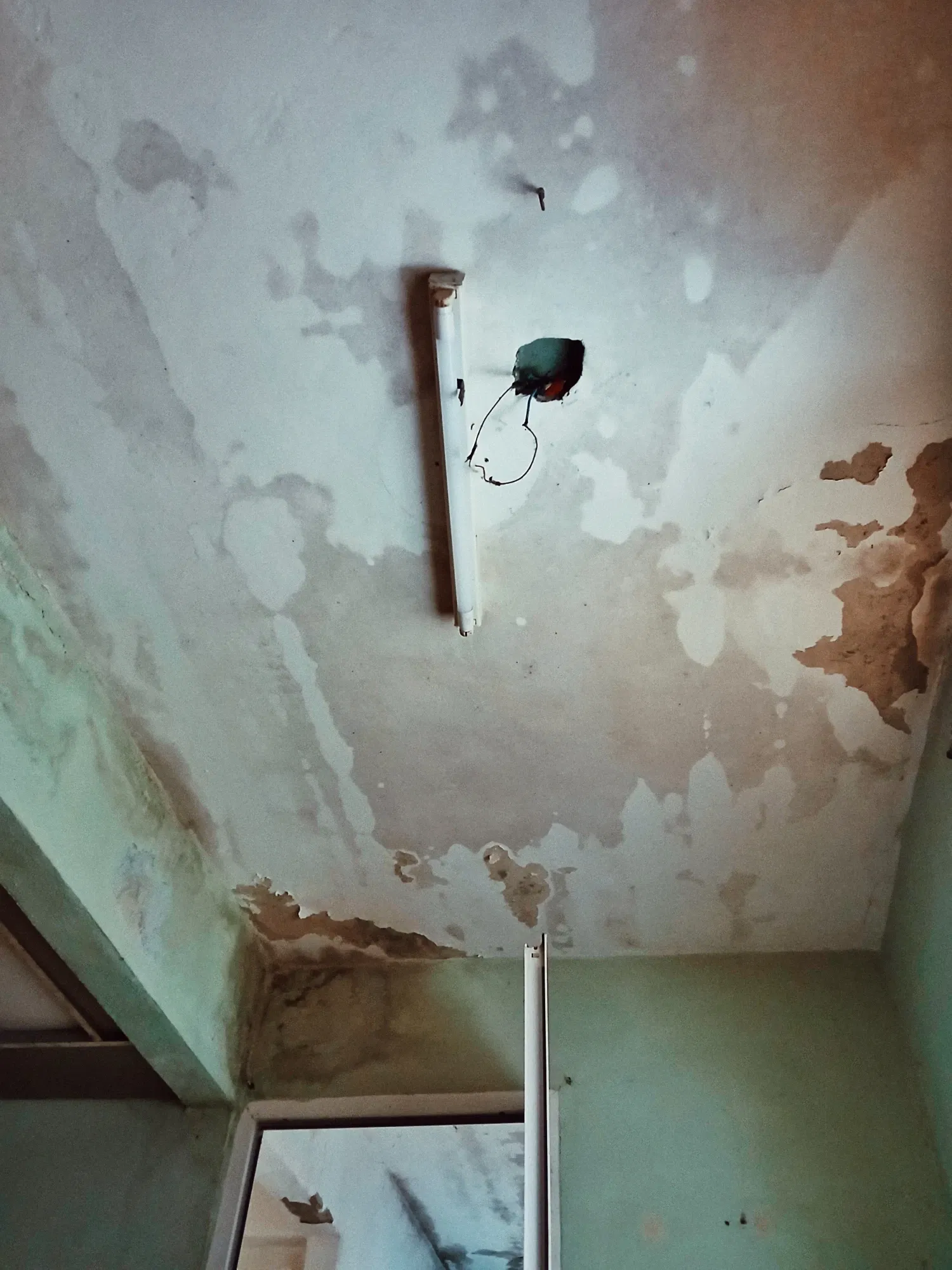 eOnhdDUTcGUnlhZl_1000075955.webp