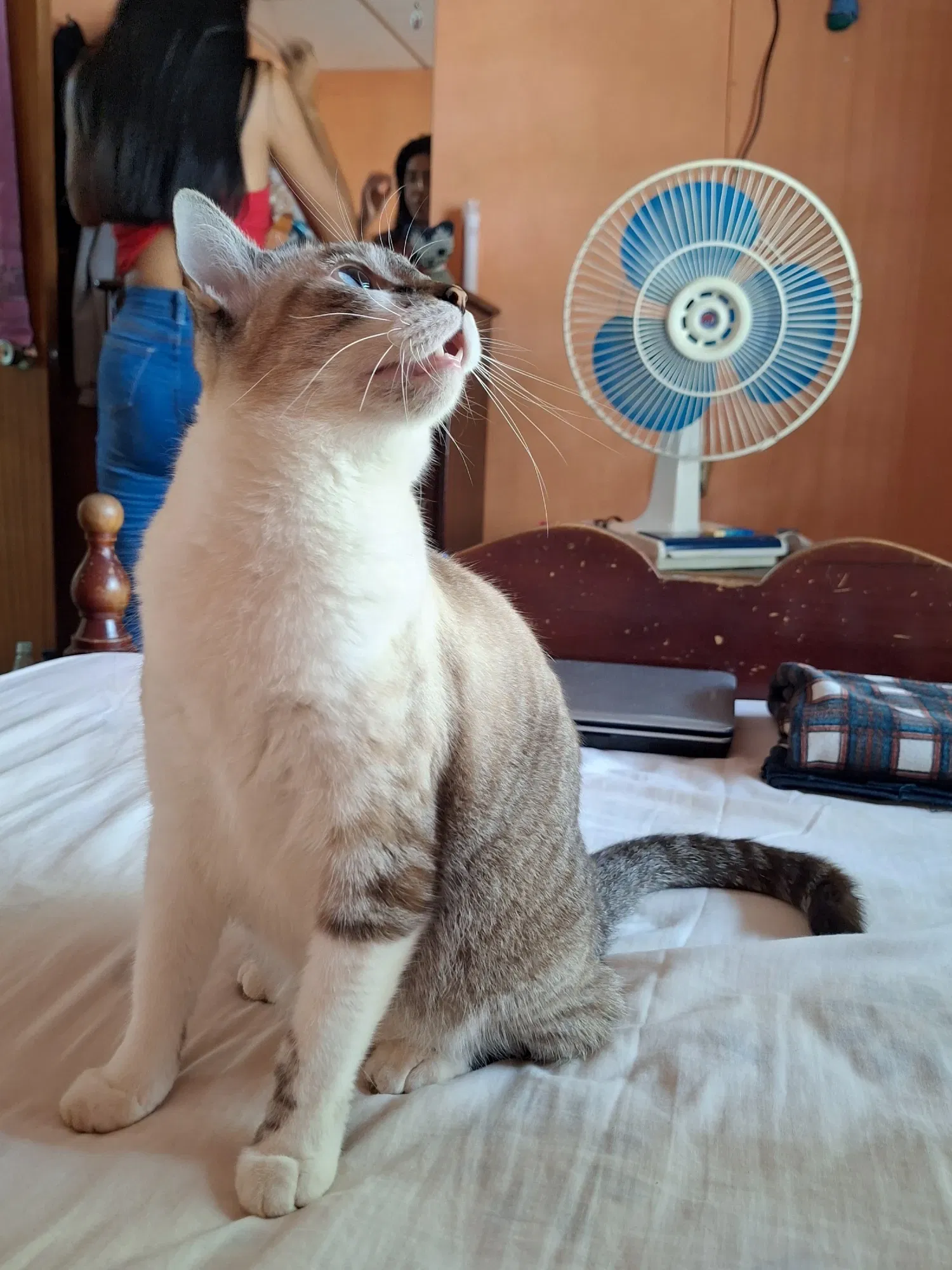Linda en modo cacería