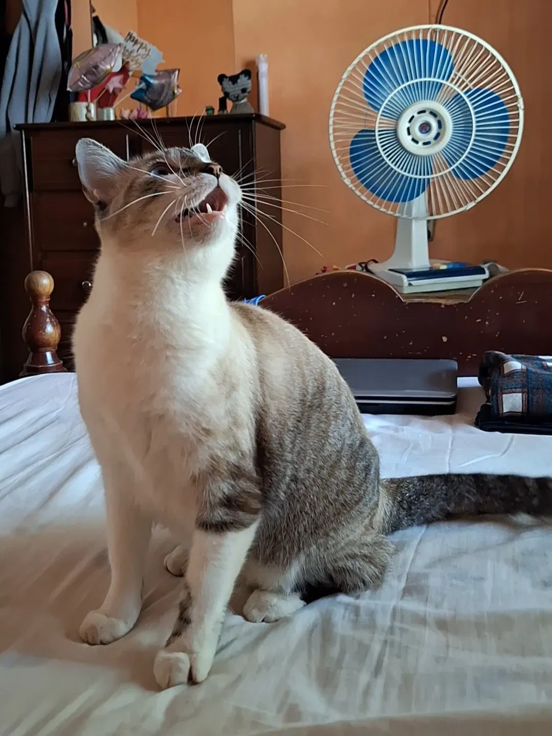 Linda en modo cacería