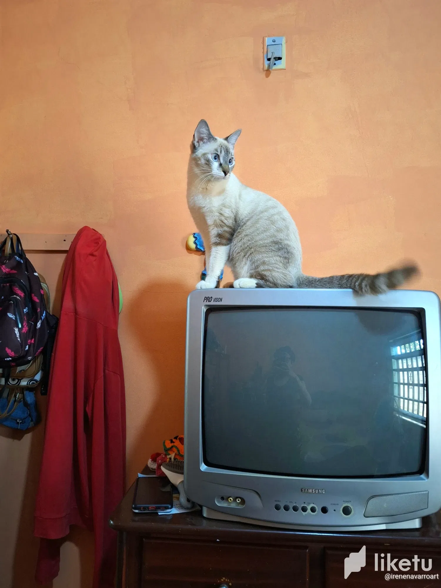 cltasj79h006ukosz2gph8bqr_20240228_113437.webp